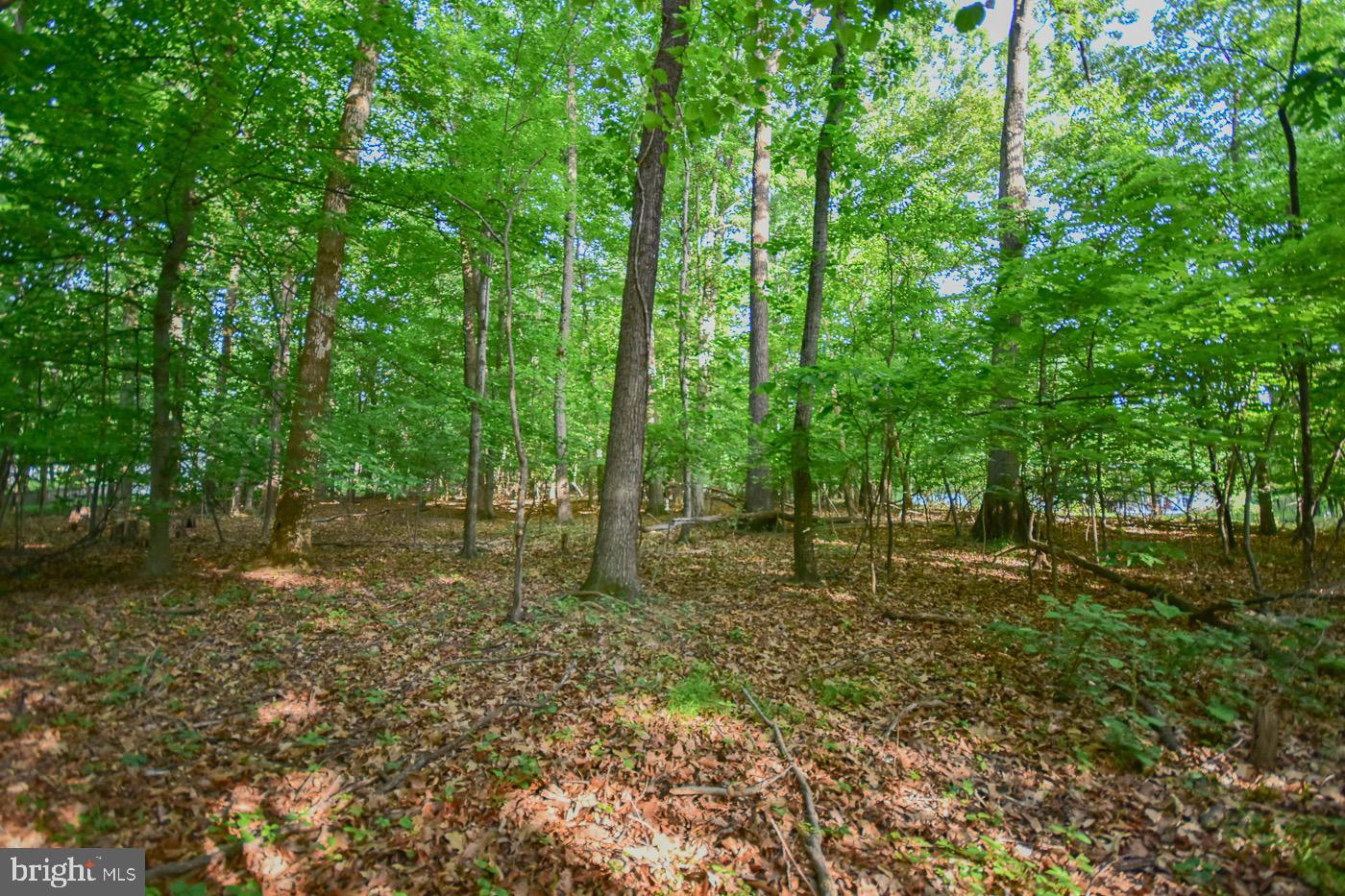 BLUE RIDGE ACRES - Residential