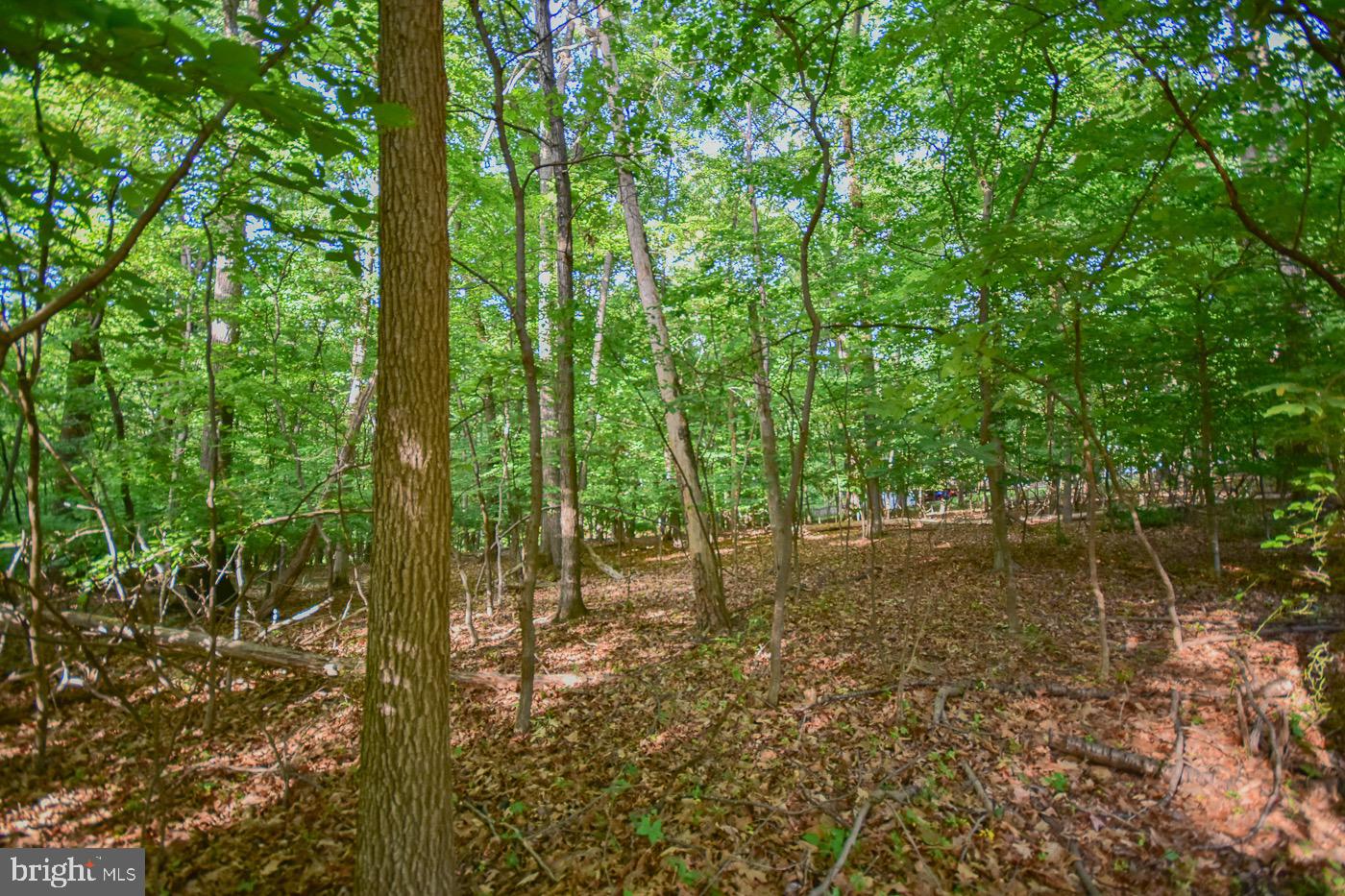 BLUE RIDGE ACRES - Residential