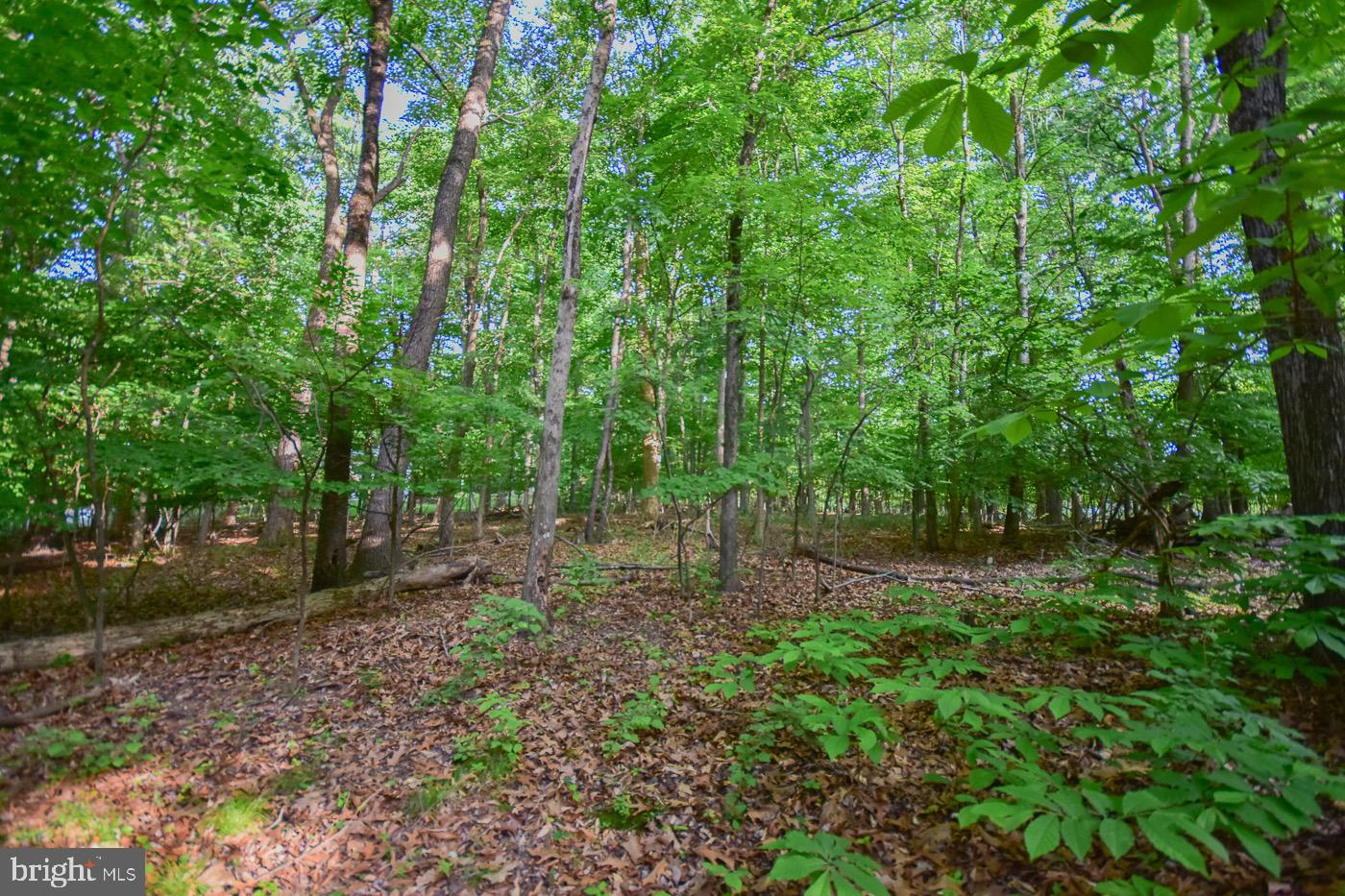 BLUE RIDGE ACRES - Residential