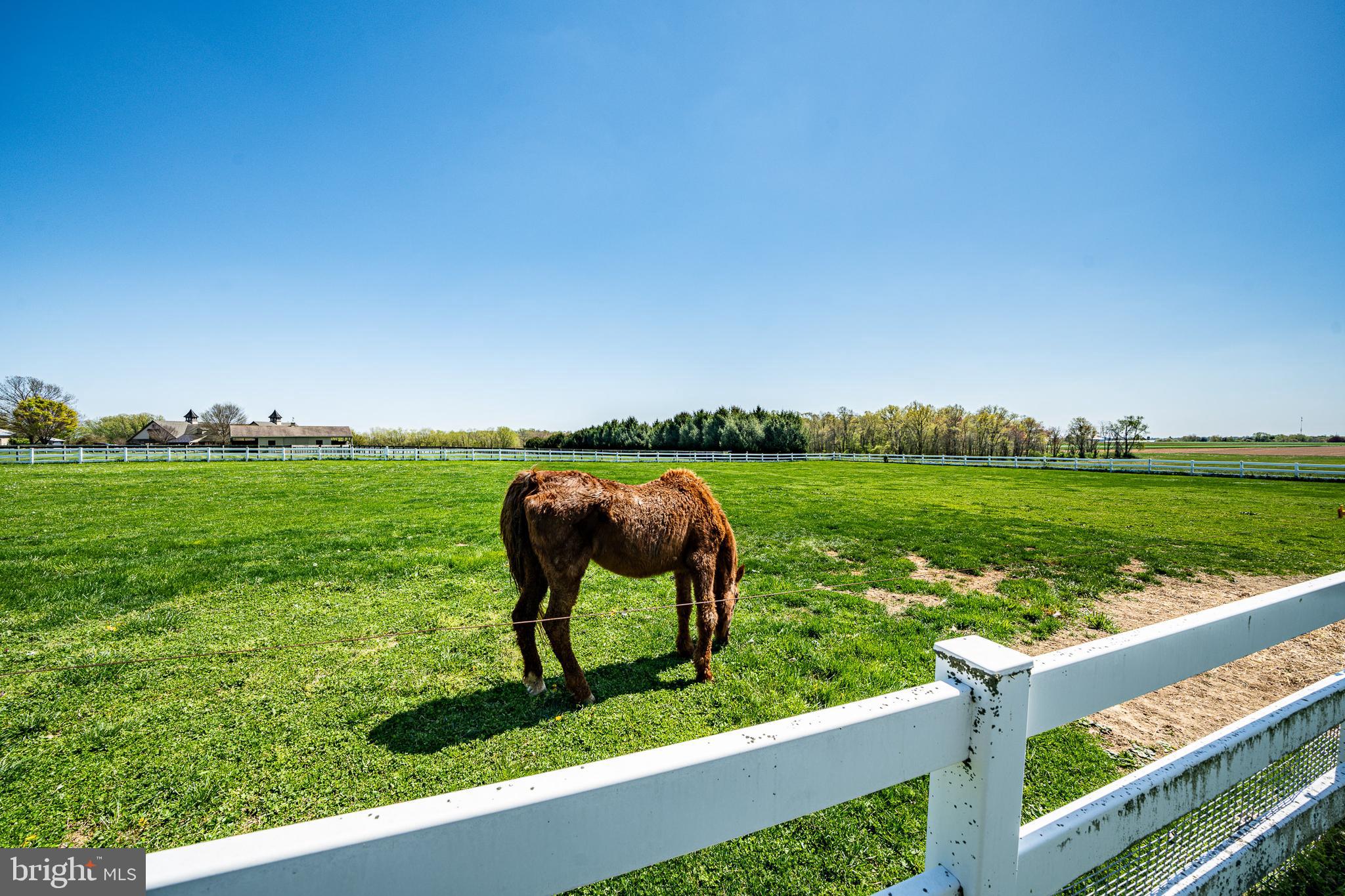 NONE AVAILABLE - Farm