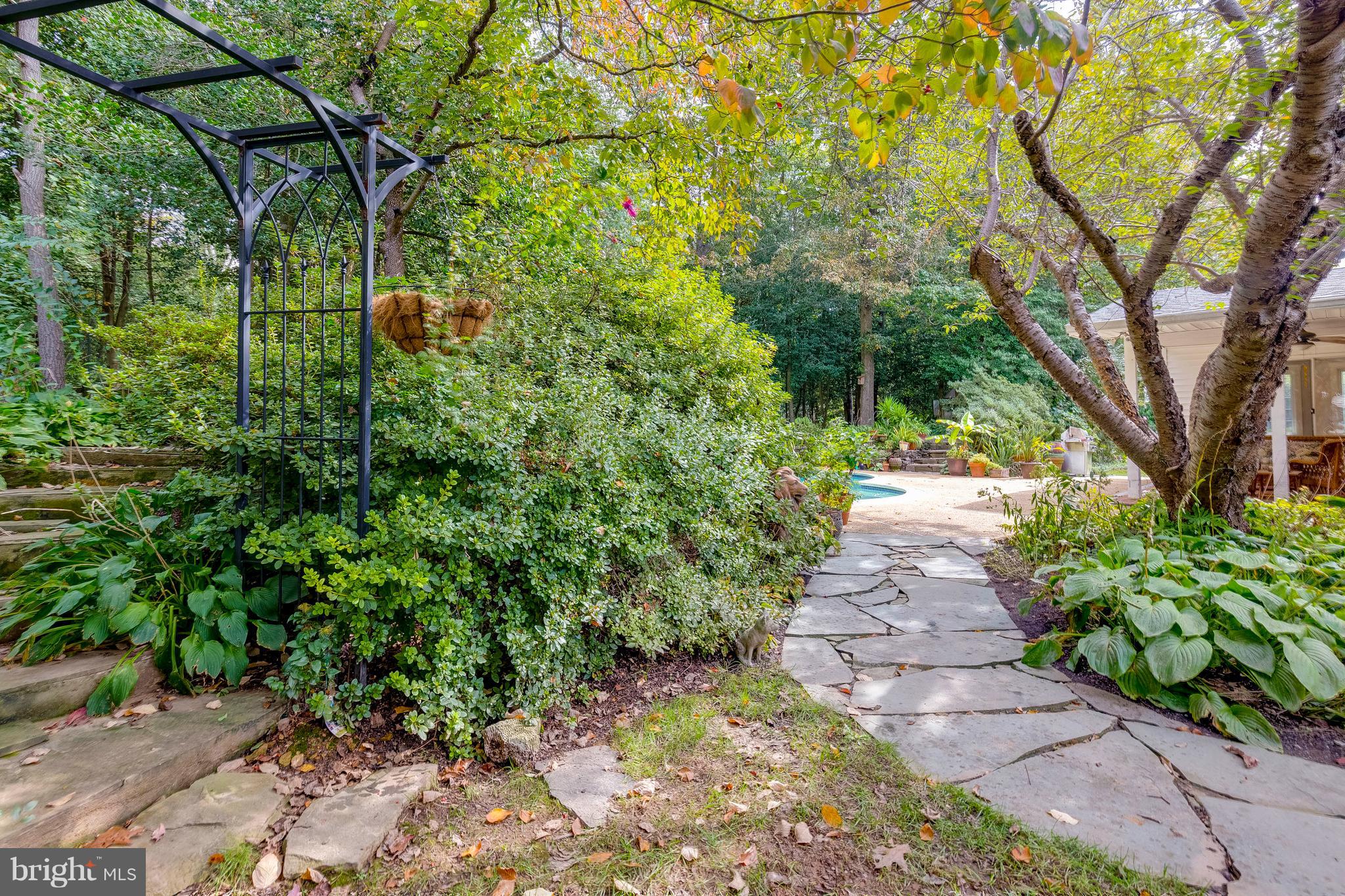 TAMARACK - Residential