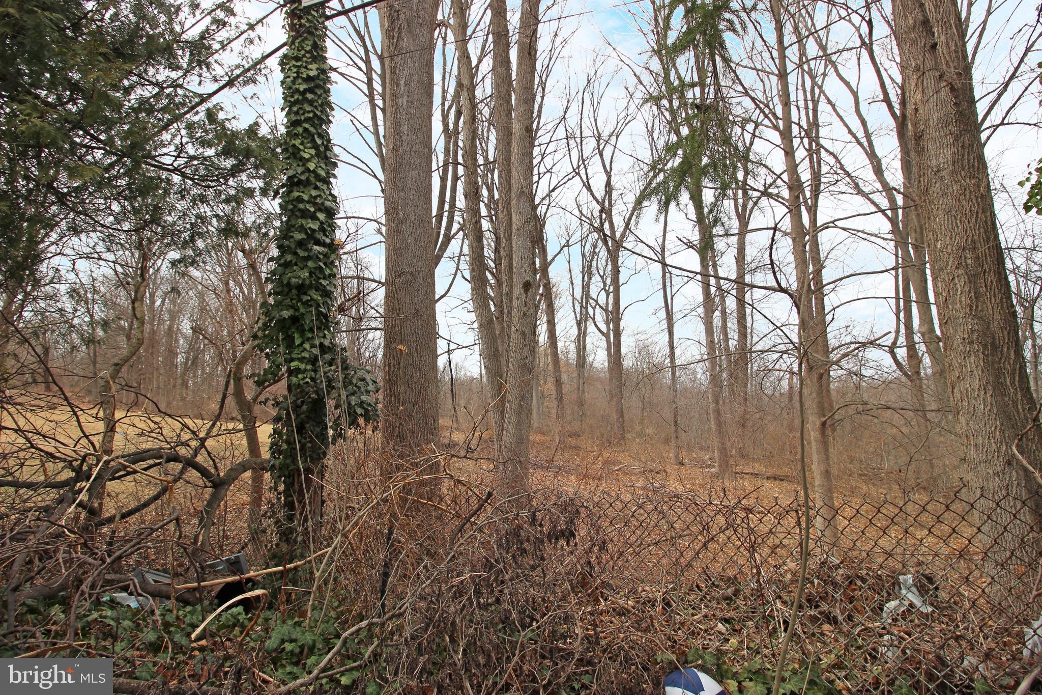 VILLAGE GREEN - Residential