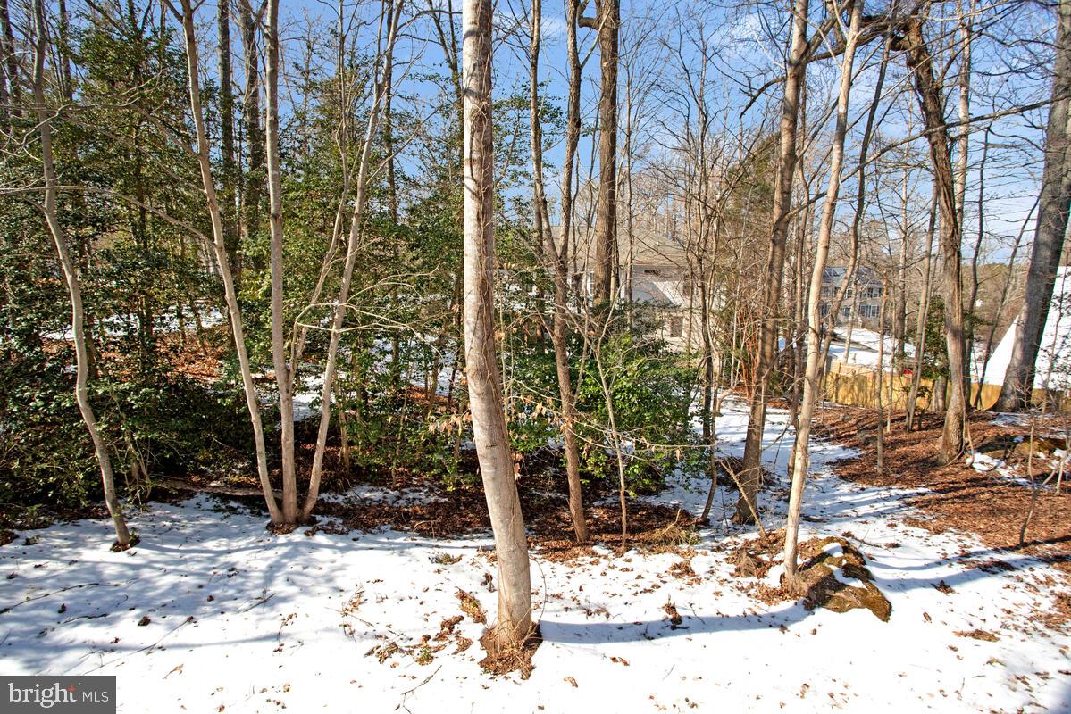 CHESAPEAKE RANCH ESTATES - Residential