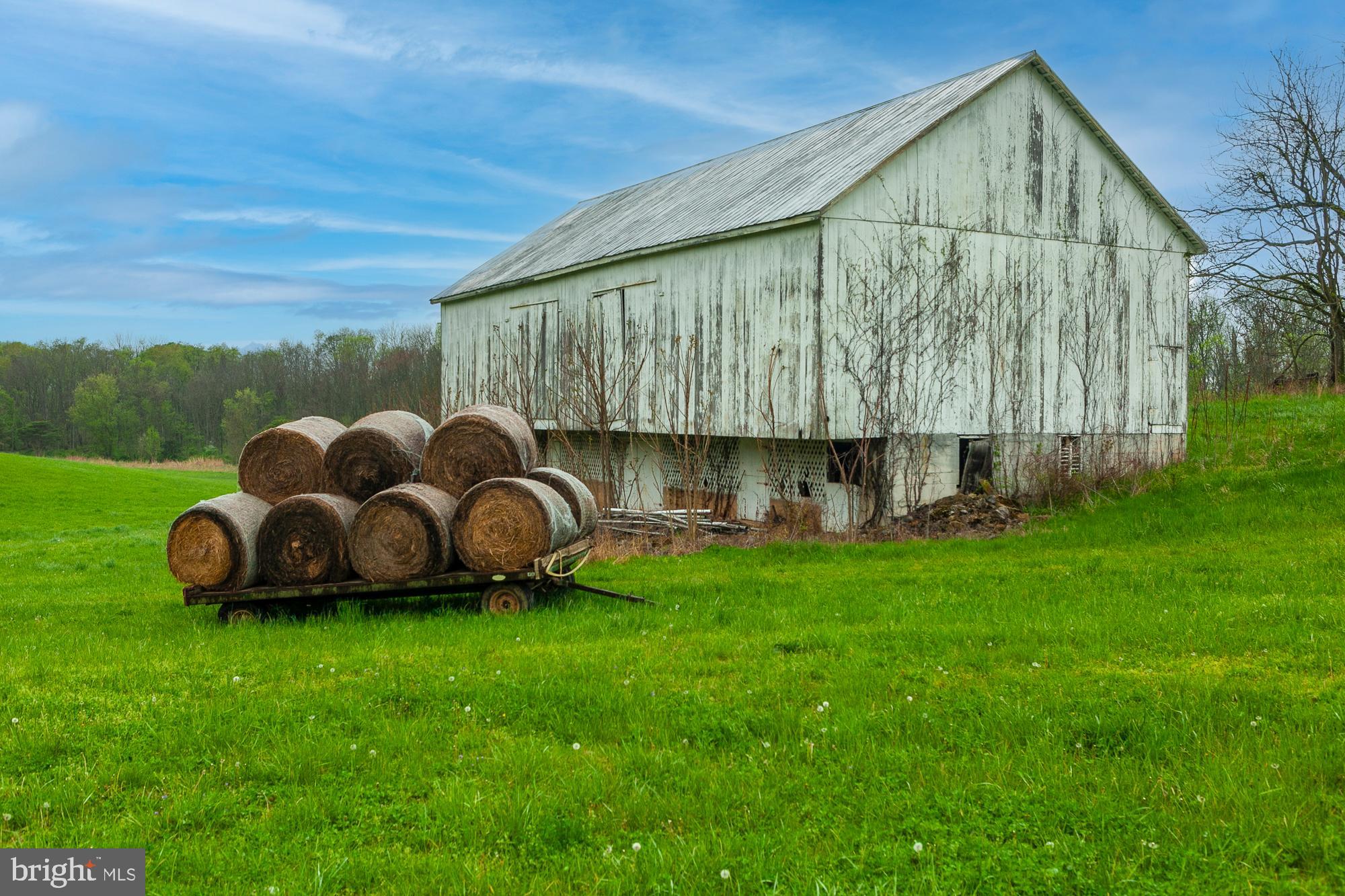 NONE AVAILABLE - Farm