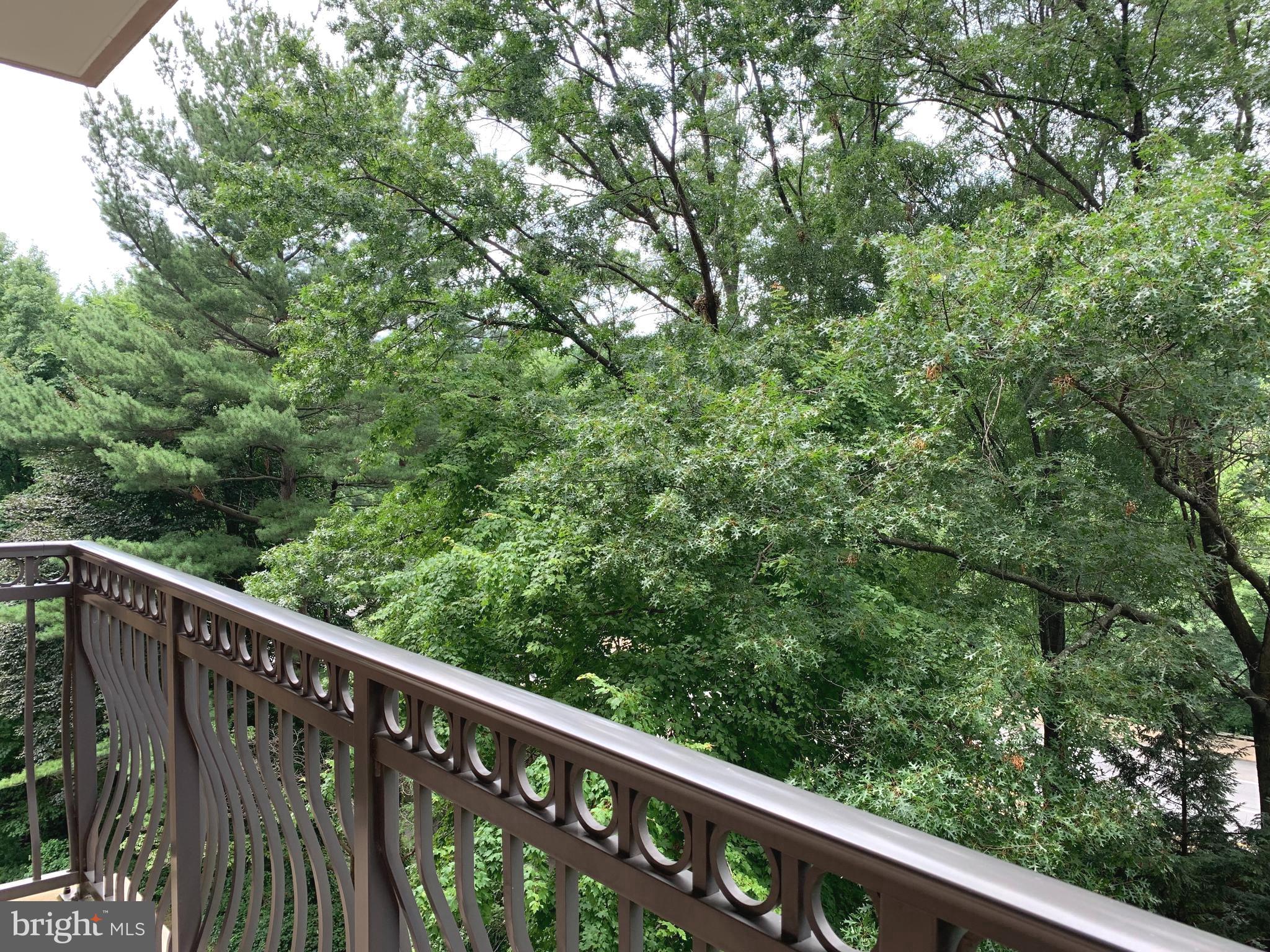 CIRCLE CONDOMINIUMS - Residential Lease