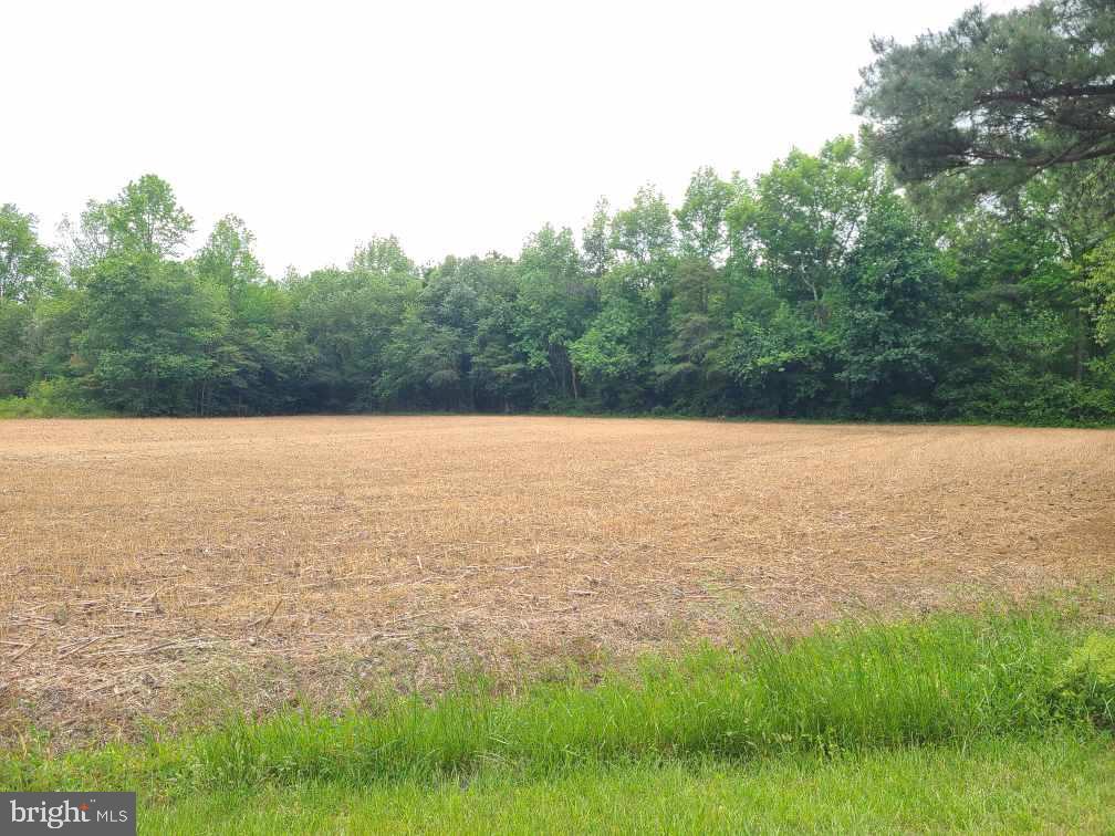 NONE AVAILABLE - Land