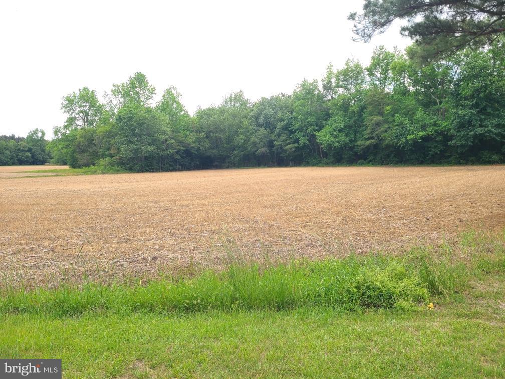 NONE AVAILABLE - Land