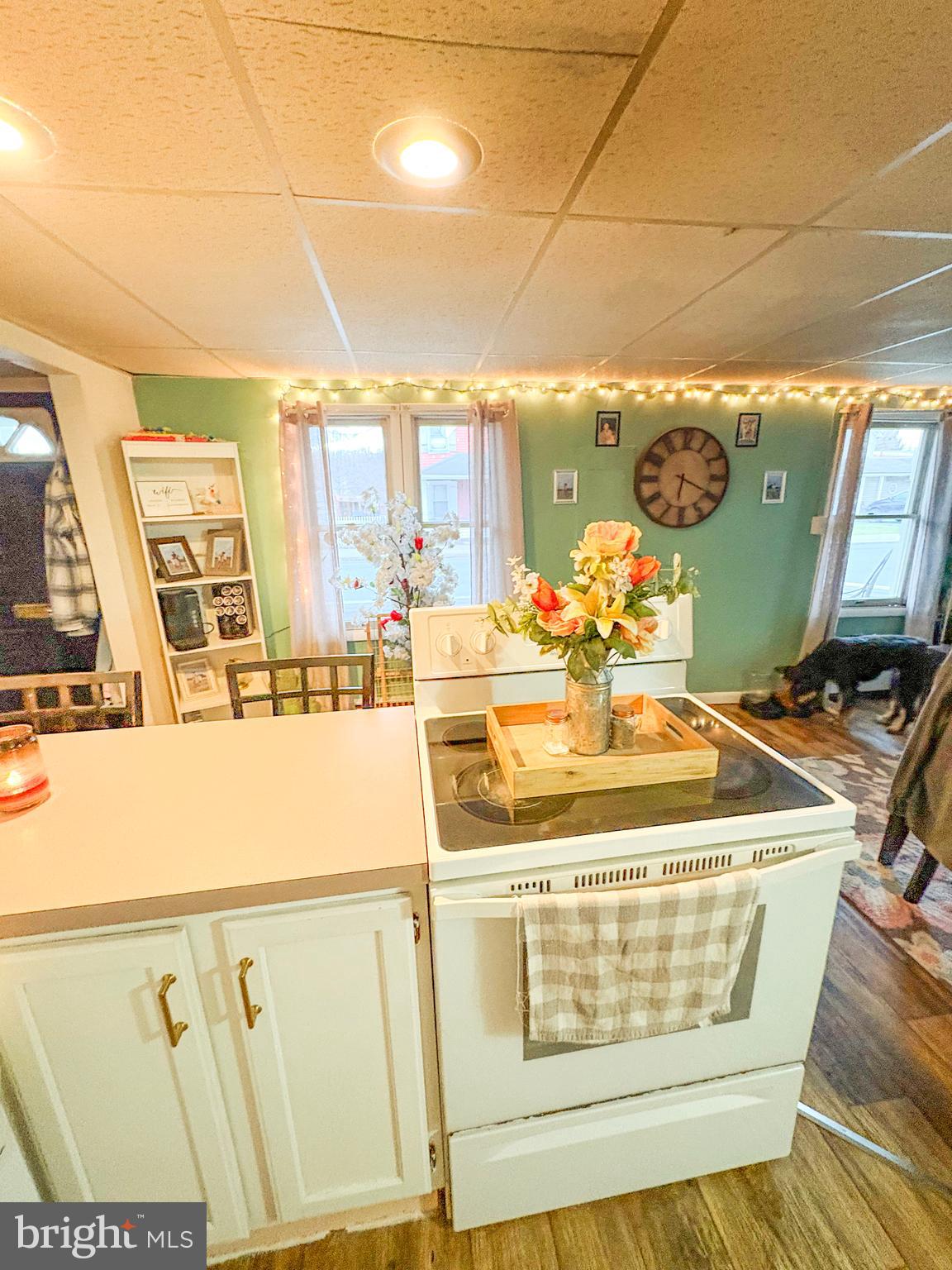 LEWISTOWN BORO - Residential