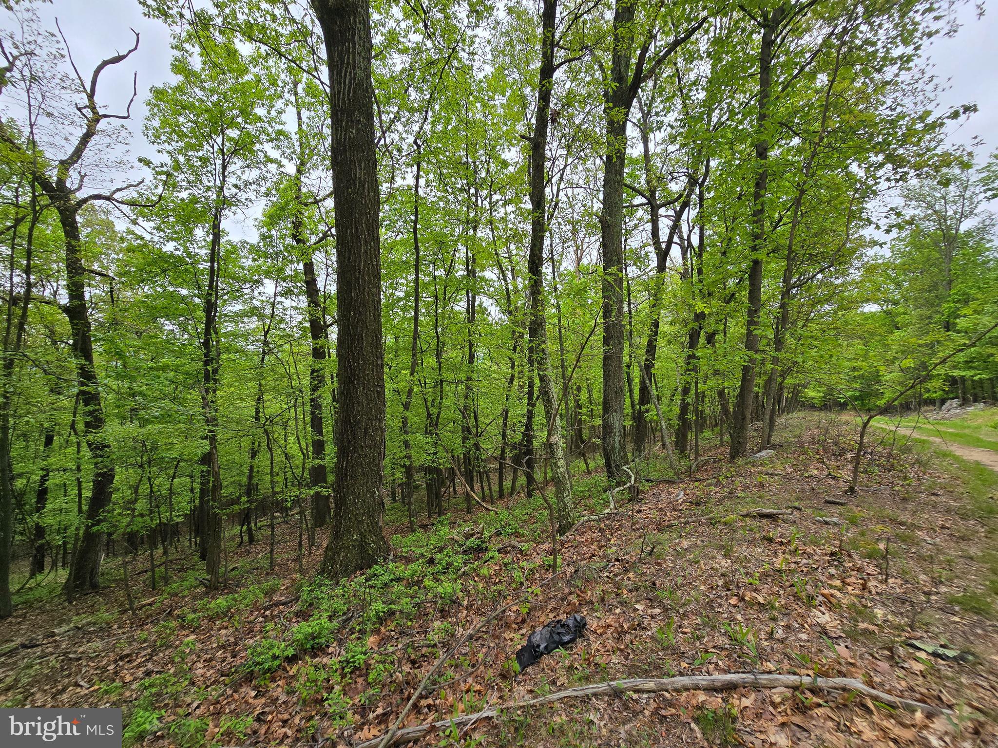 VALLEY HIGH TIMBER FARMS - Land