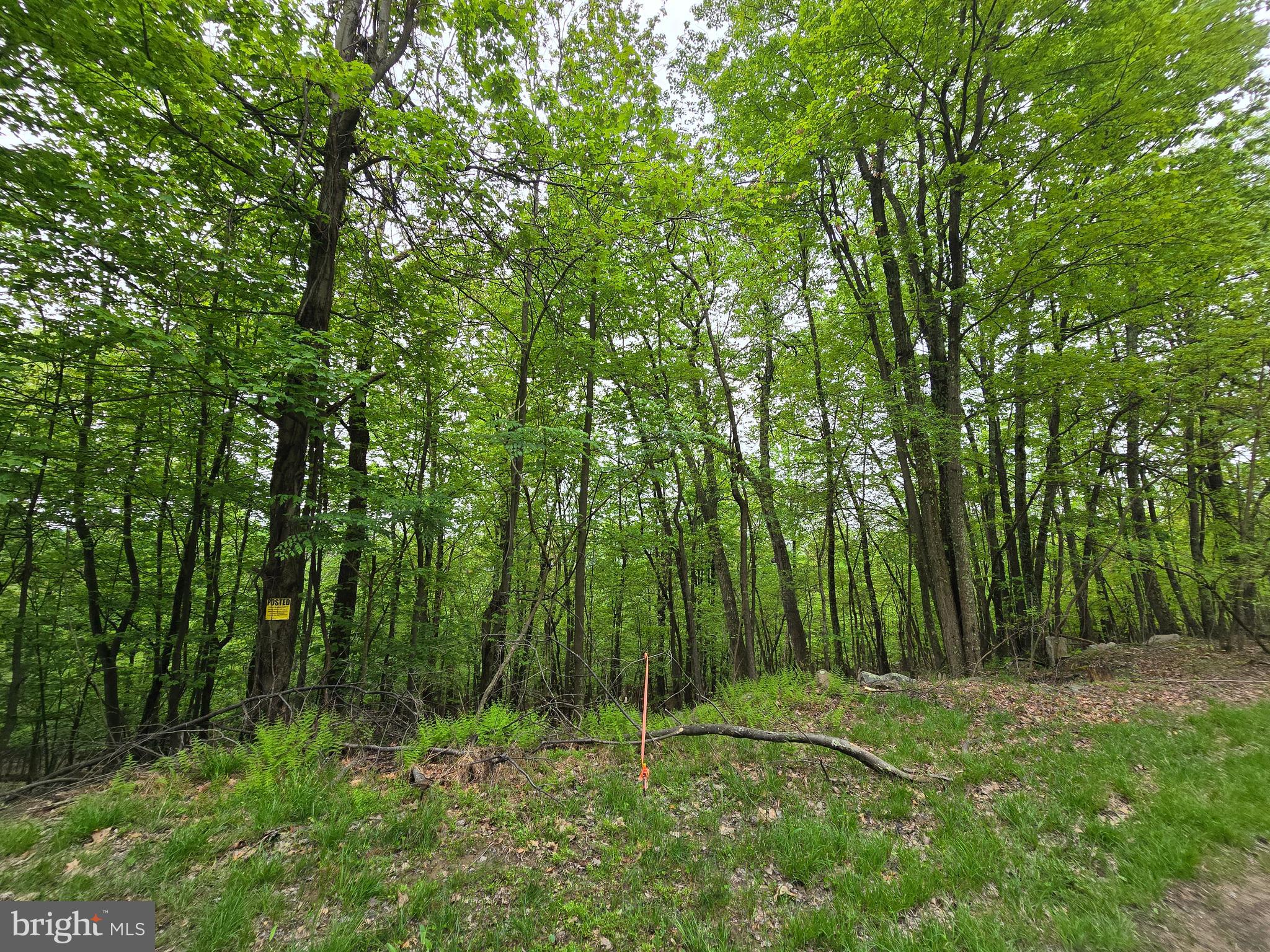 VALLEY HIGH TIMBER FARMS - Land