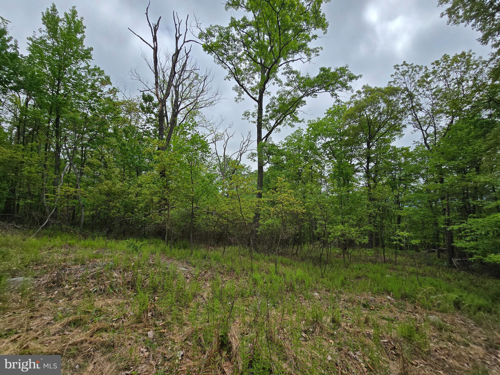 VALLEY HIGH TIMBER FARMS - Land