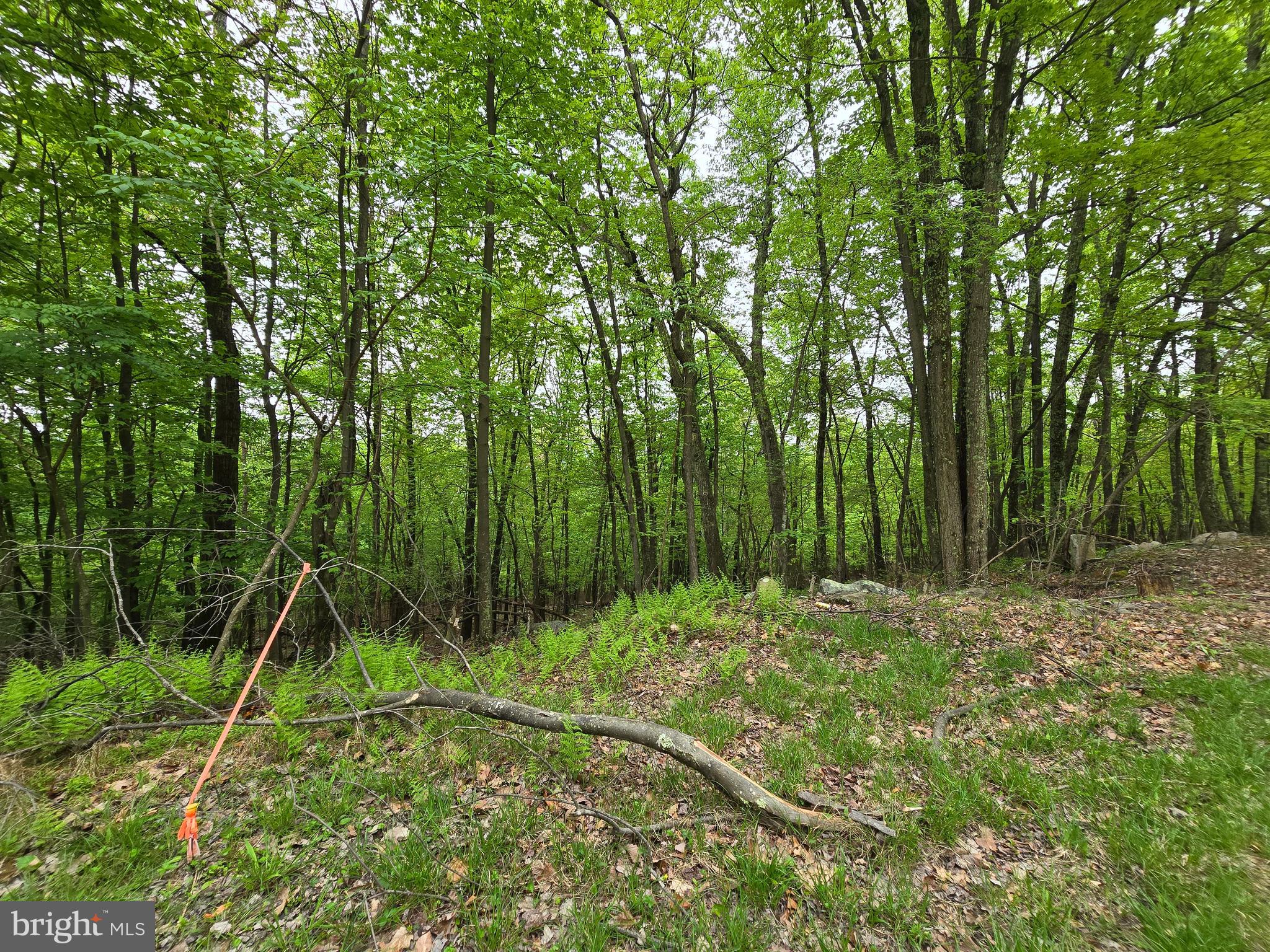 VALLEY HIGH TIMBER FARMS - Land