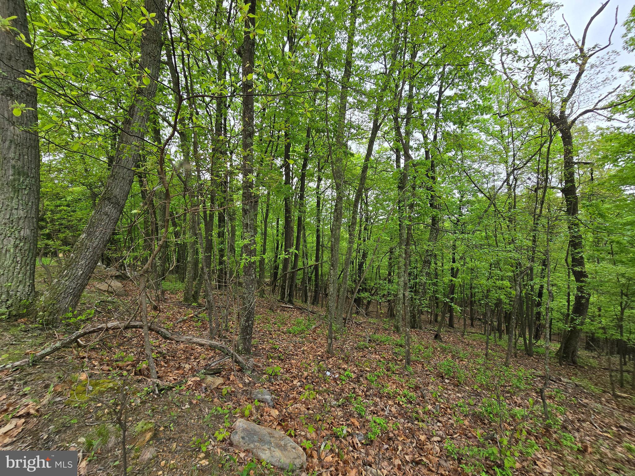 VALLEY HIGH TIMBER FARMS - Land