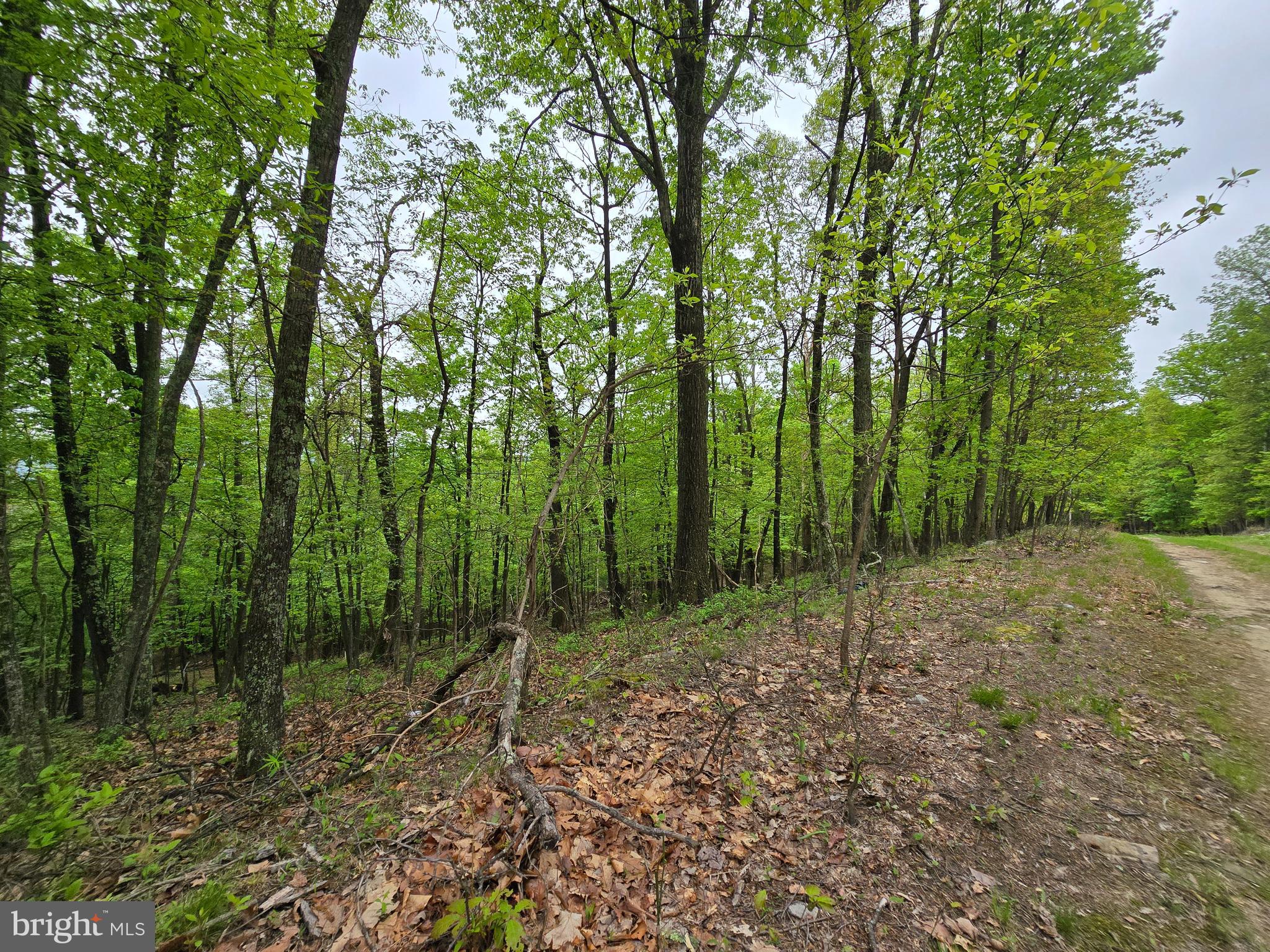 VALLEY HIGH TIMBER FARMS - Land