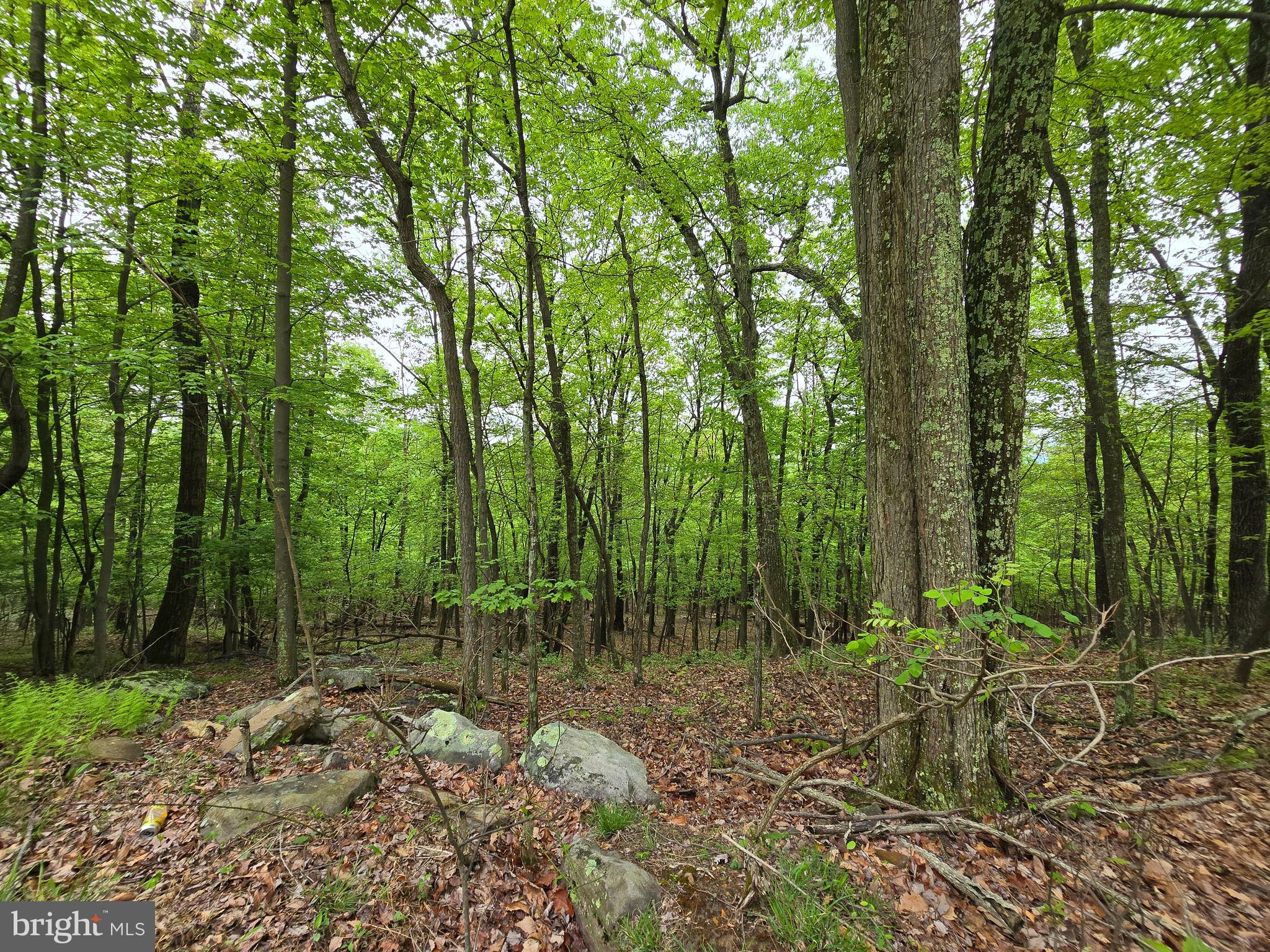 VALLEY HIGH TIMBER FARMS - Land