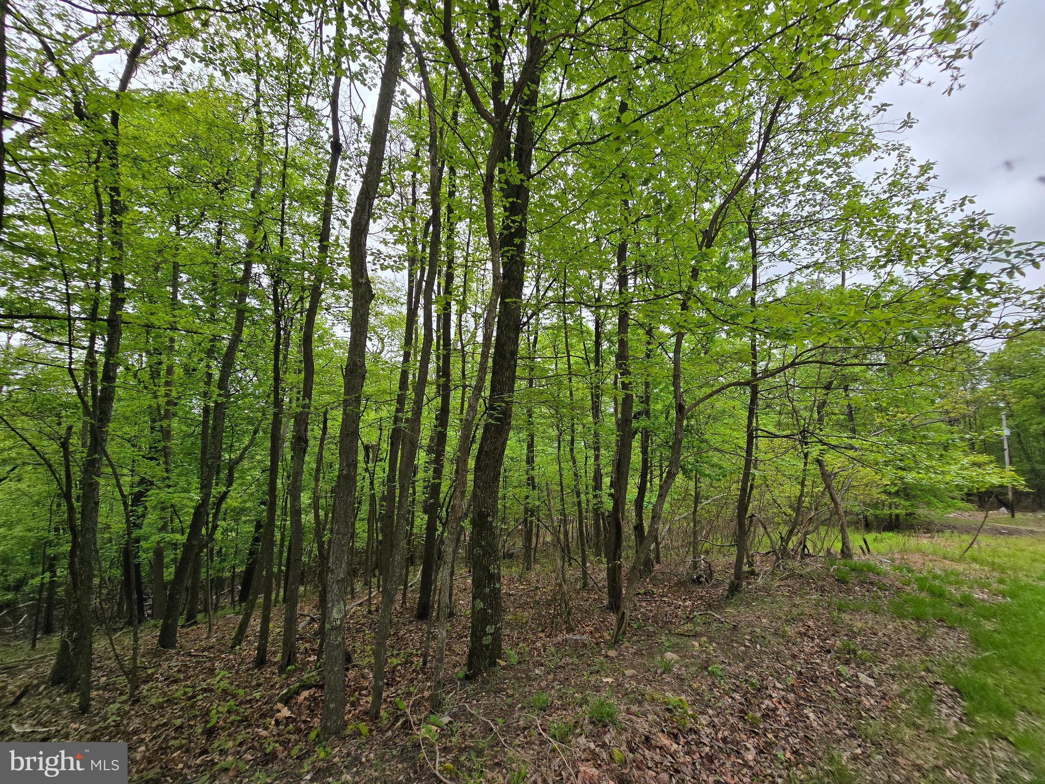 VALLEY HIGH TIMBER FARMS - Land