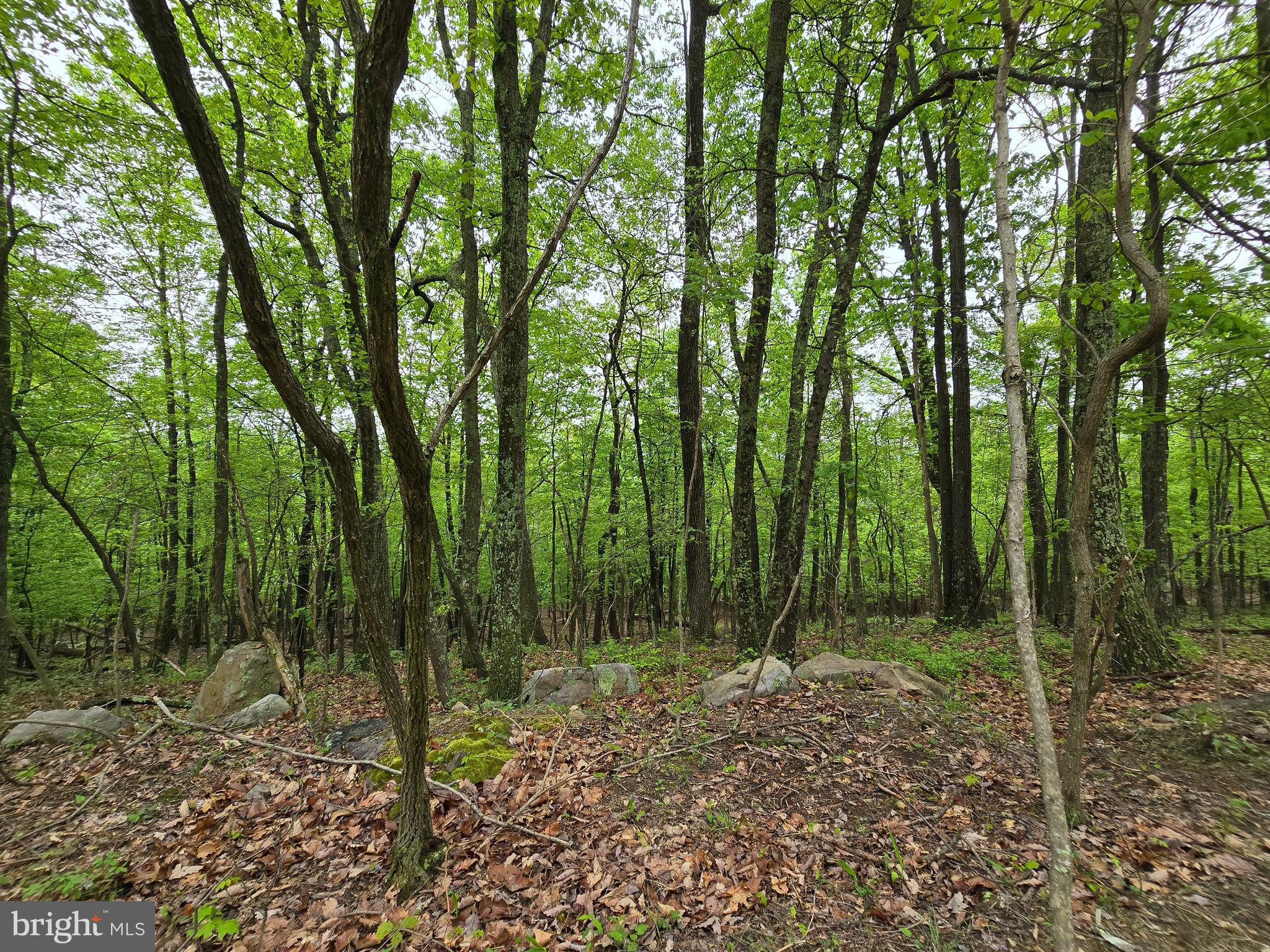 VALLEY HIGH TIMBER FARMS - Land