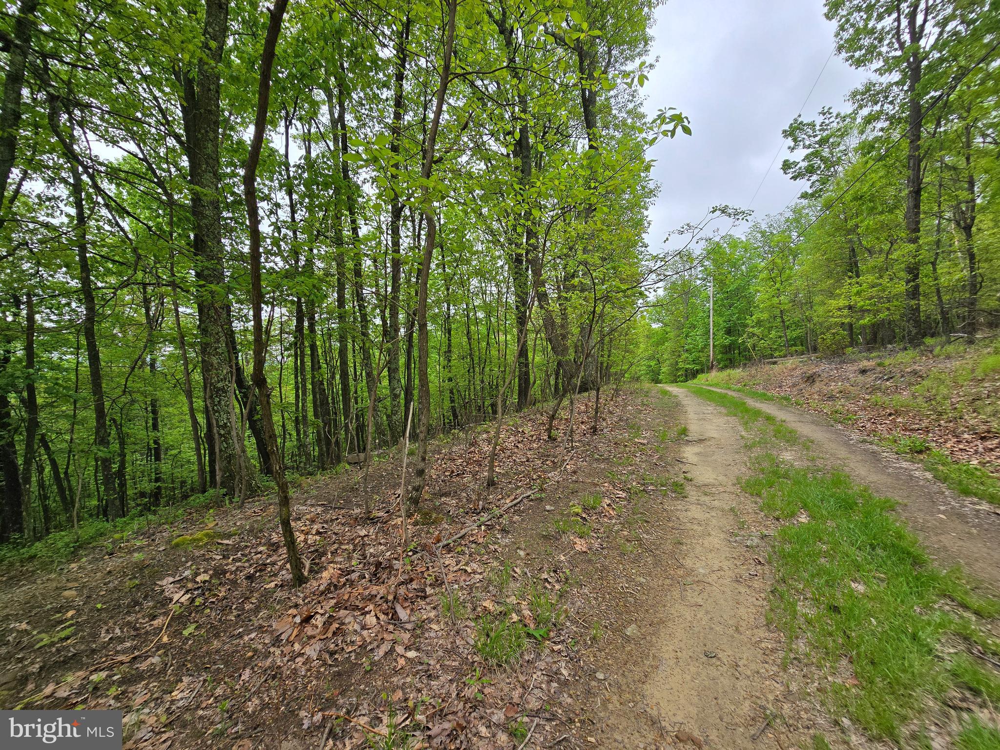 VALLEY HIGH TIMBER FARMS - Land