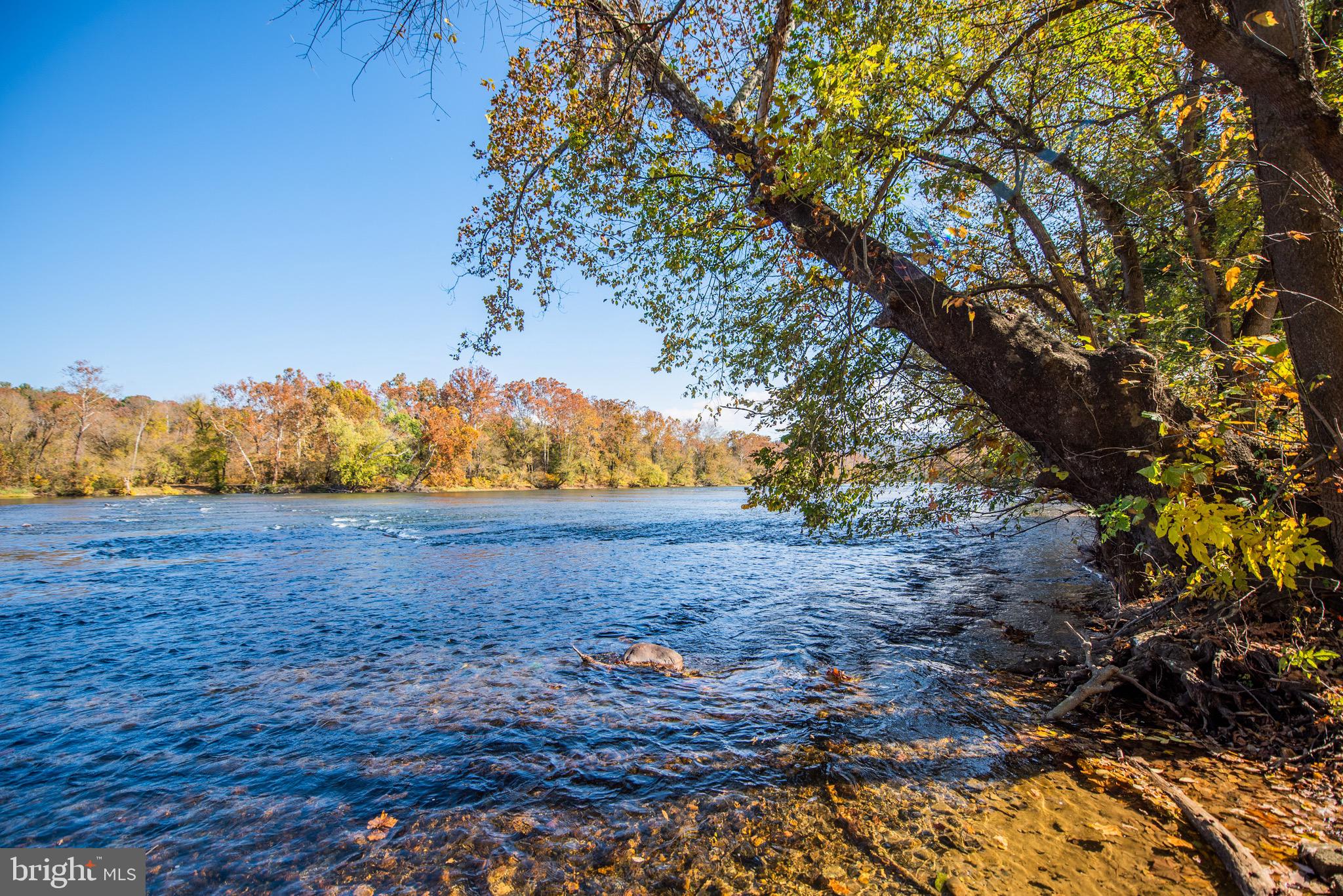 SHENANDOAH RIVER FOREST - Residential