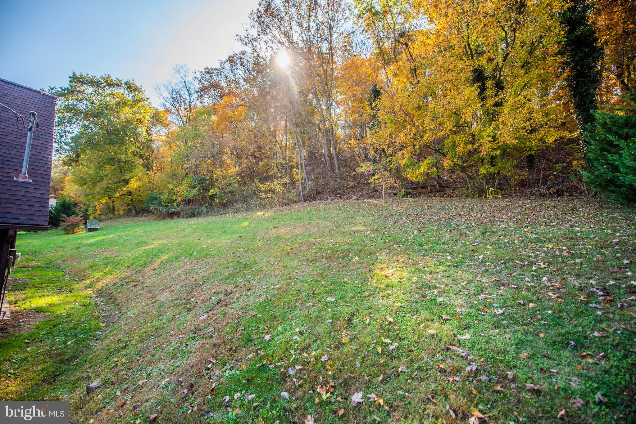 SHENANDOAH RIVER FOREST - Residential