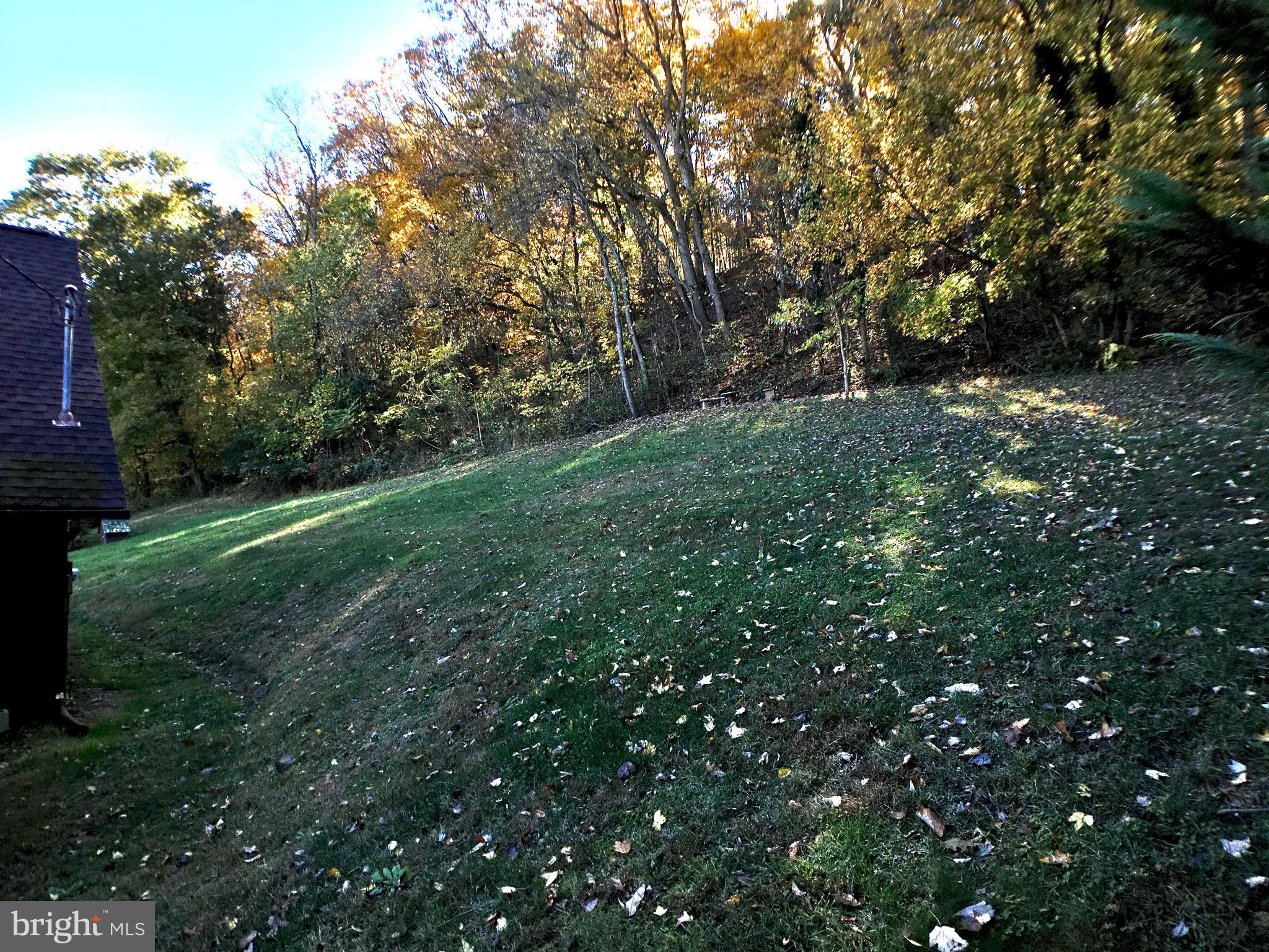 SHENANDOAH RIVER FOREST - Residential