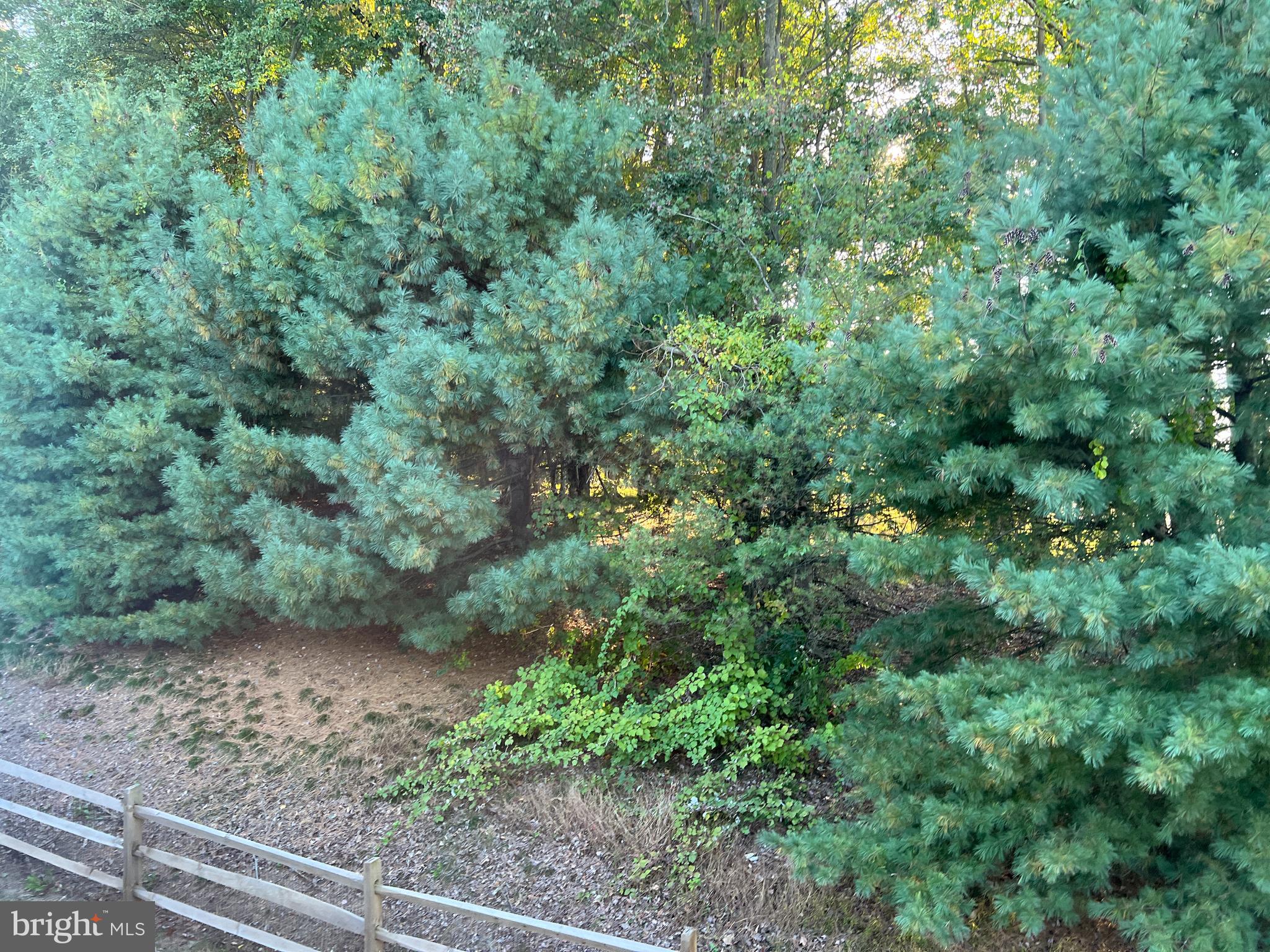 MEWS AT BAILEY STATION - Residential