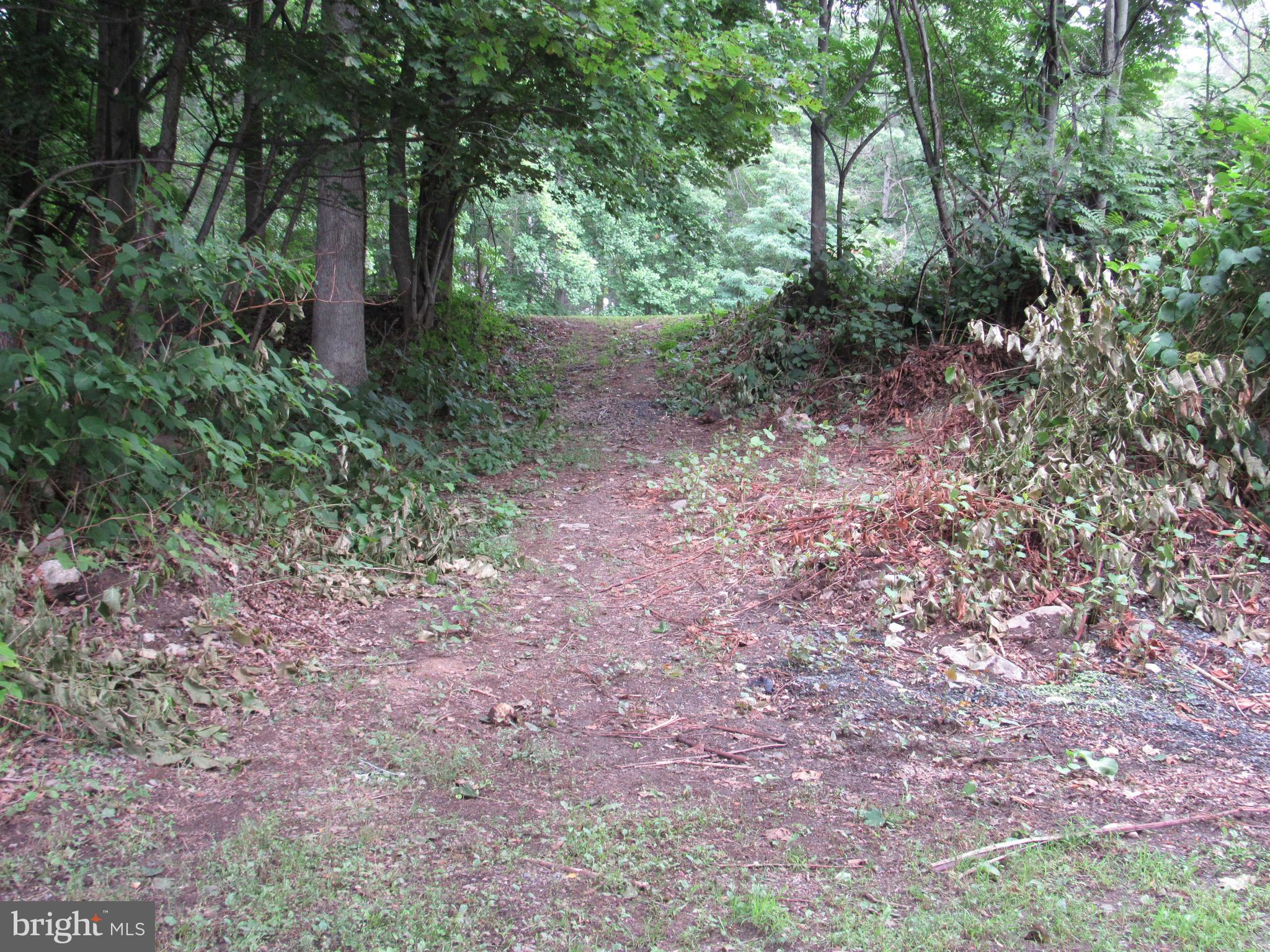 0 SILVER LANE