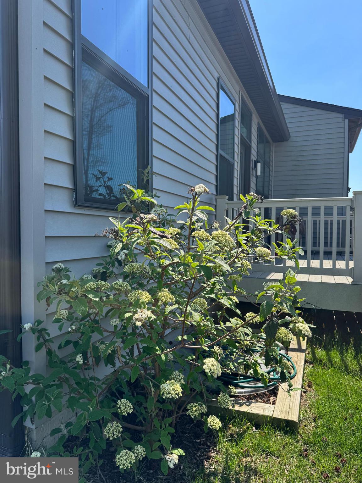 TANYARD SHORES - Residential