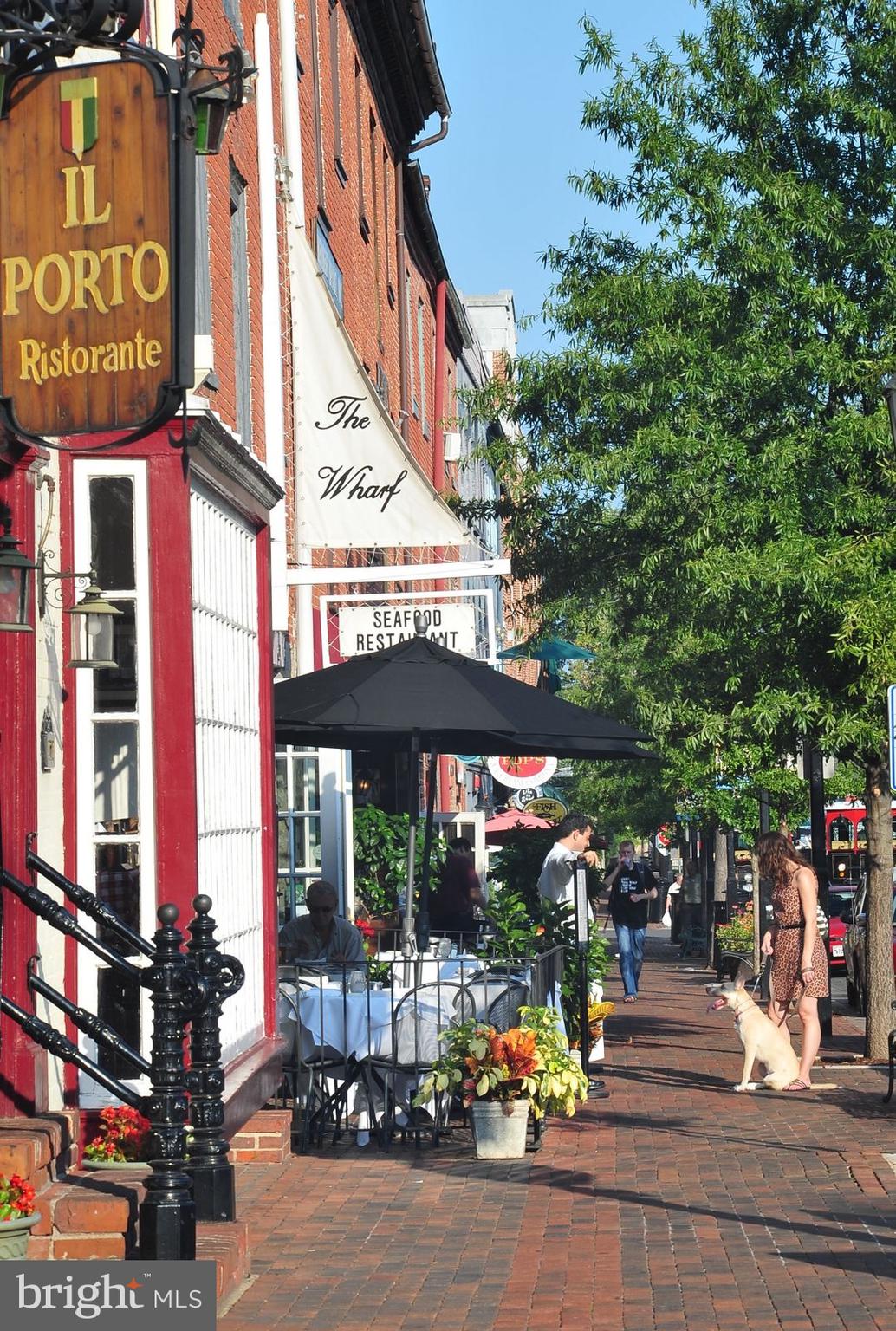 OLD TOWN ALEXANDRIA - Residential Income