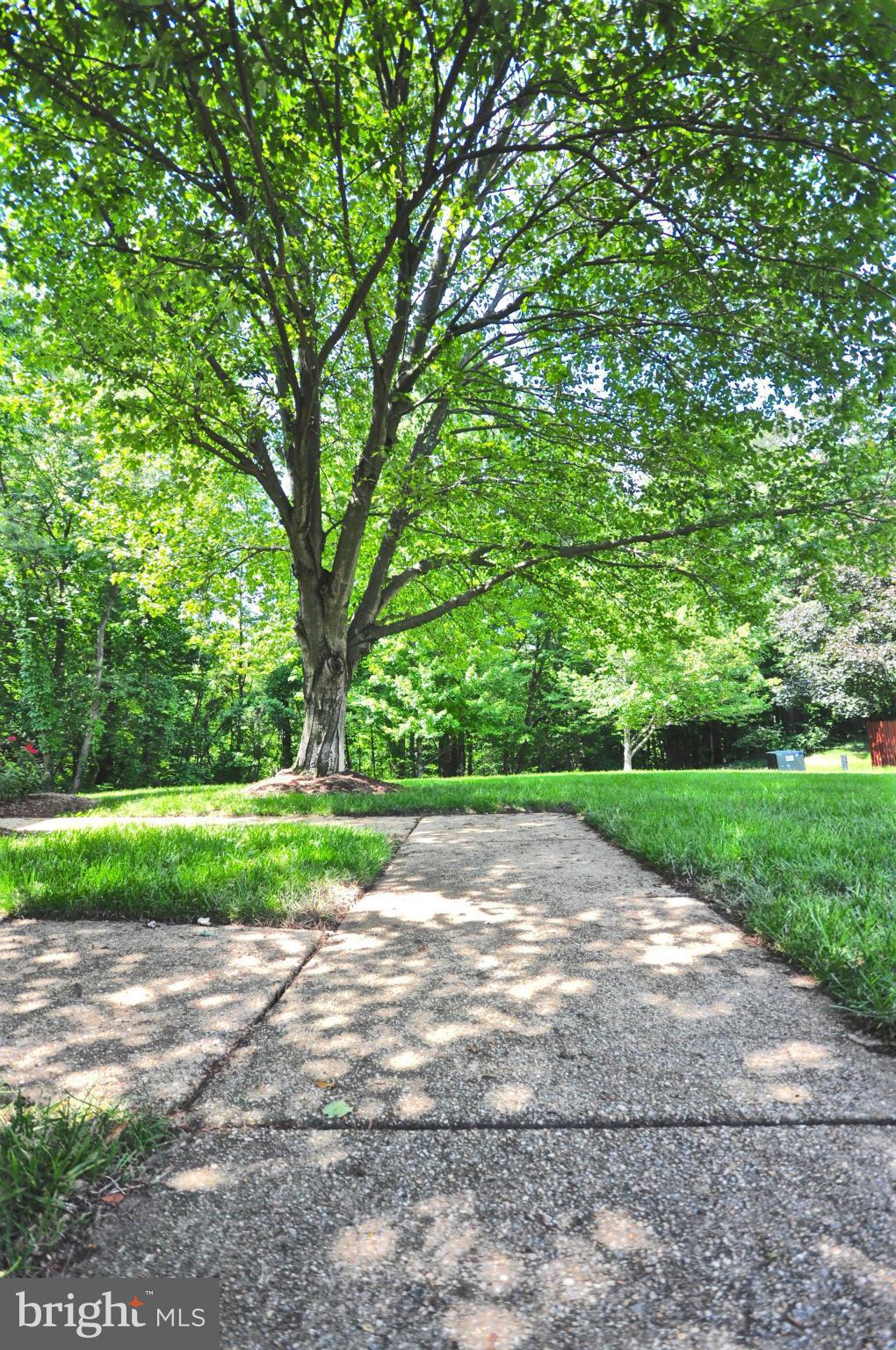 SOUTH KINGS STATION - Residential Lease