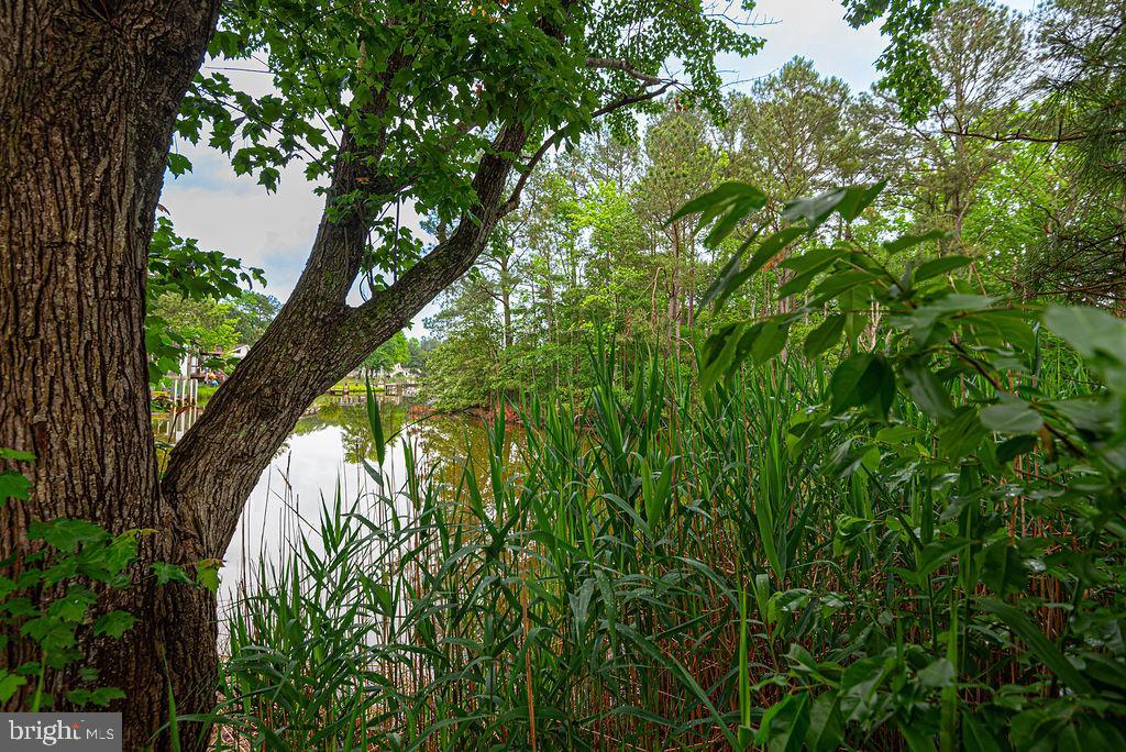 OCEAN PINES - NANTUCKET - Residential
