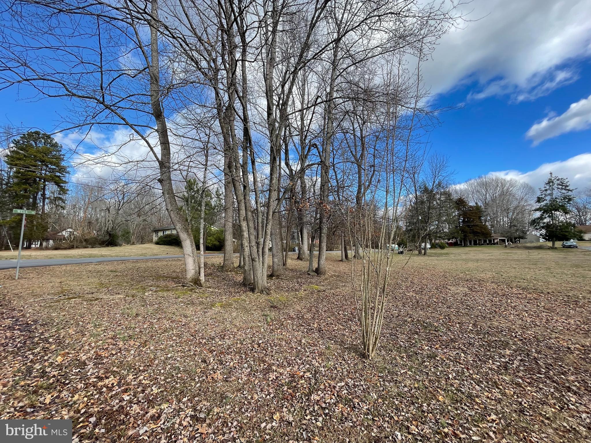 BLUE RIDGE SHORES - Land