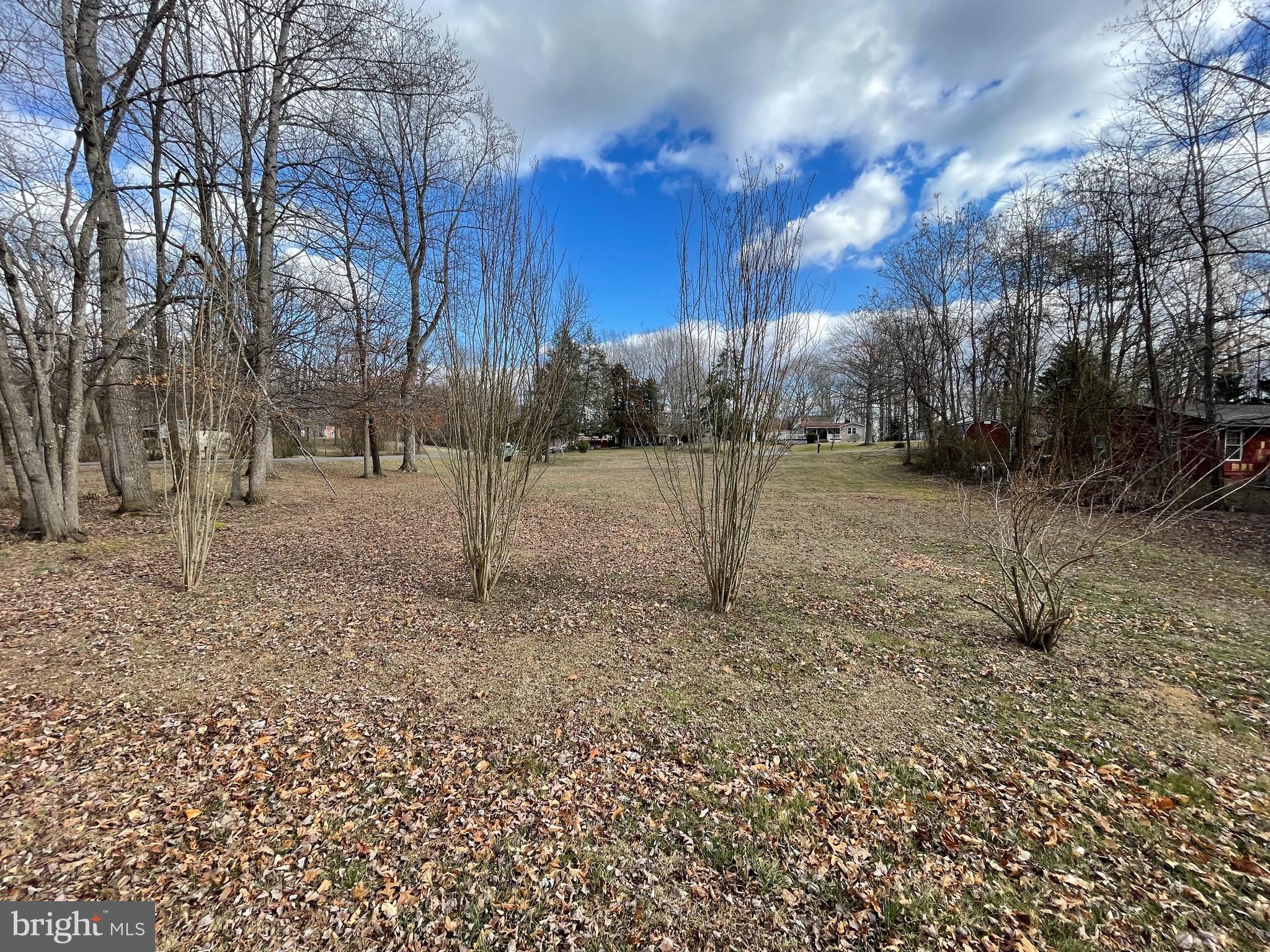 BLUE RIDGE SHORES - Land