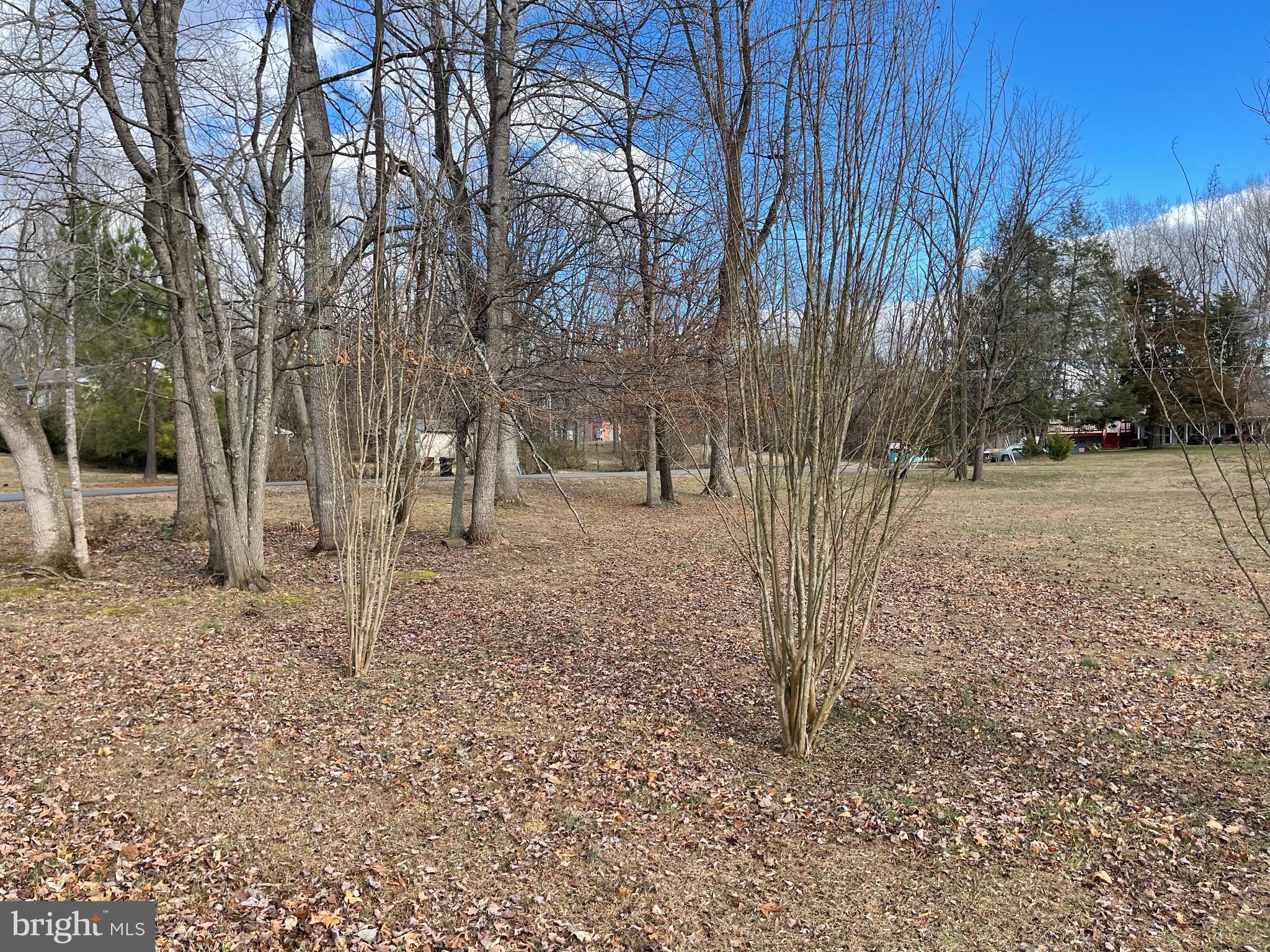 BLUE RIDGE SHORES - Land