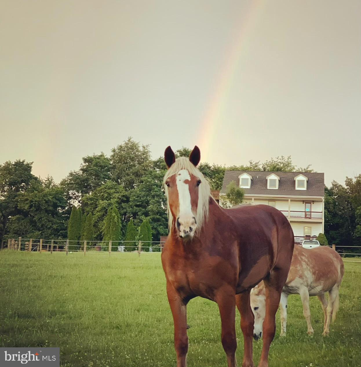 MIDDLETOWN - Residential