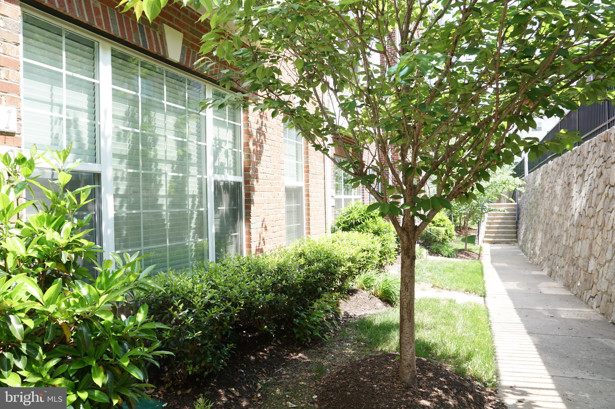 POTOMAC CLUB - Residential Lease