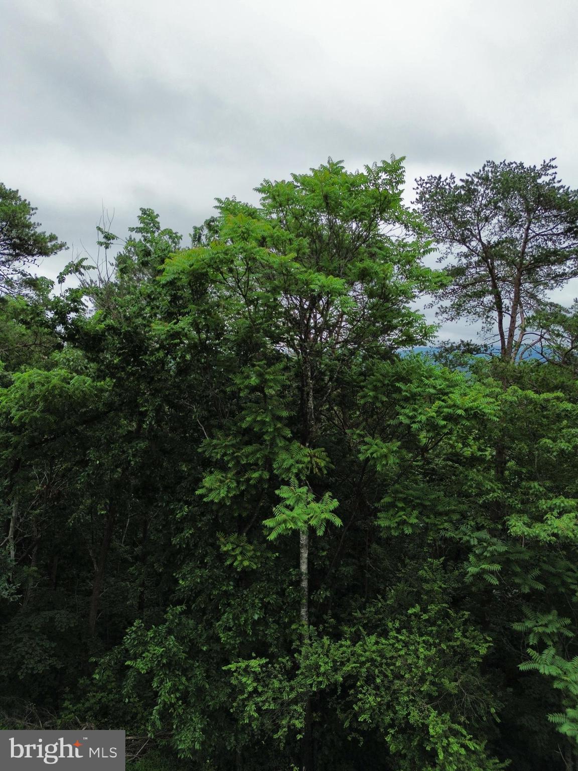 LOT 9 LOOKOUT DR