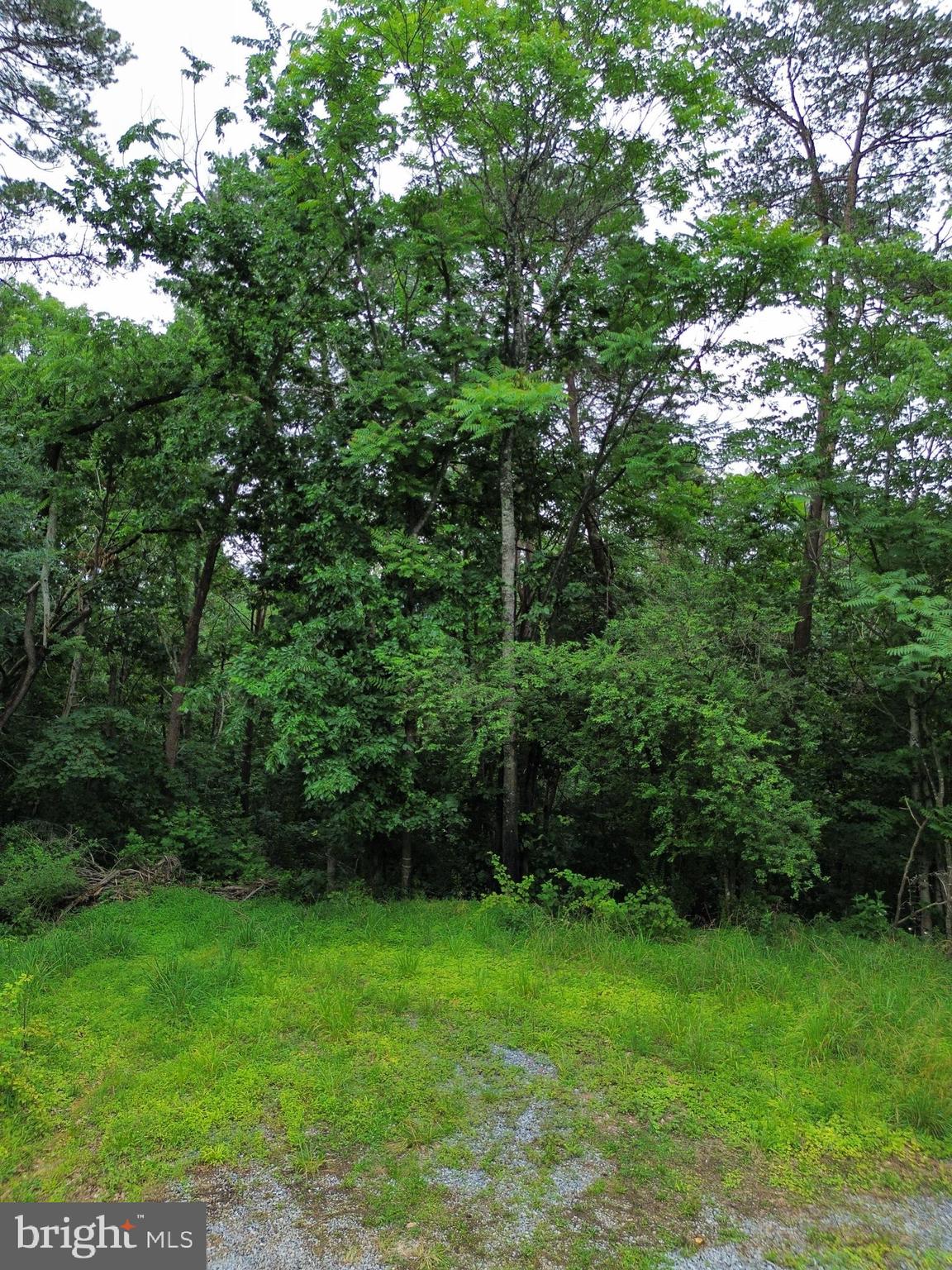 LOT 9 LOOKOUT DR