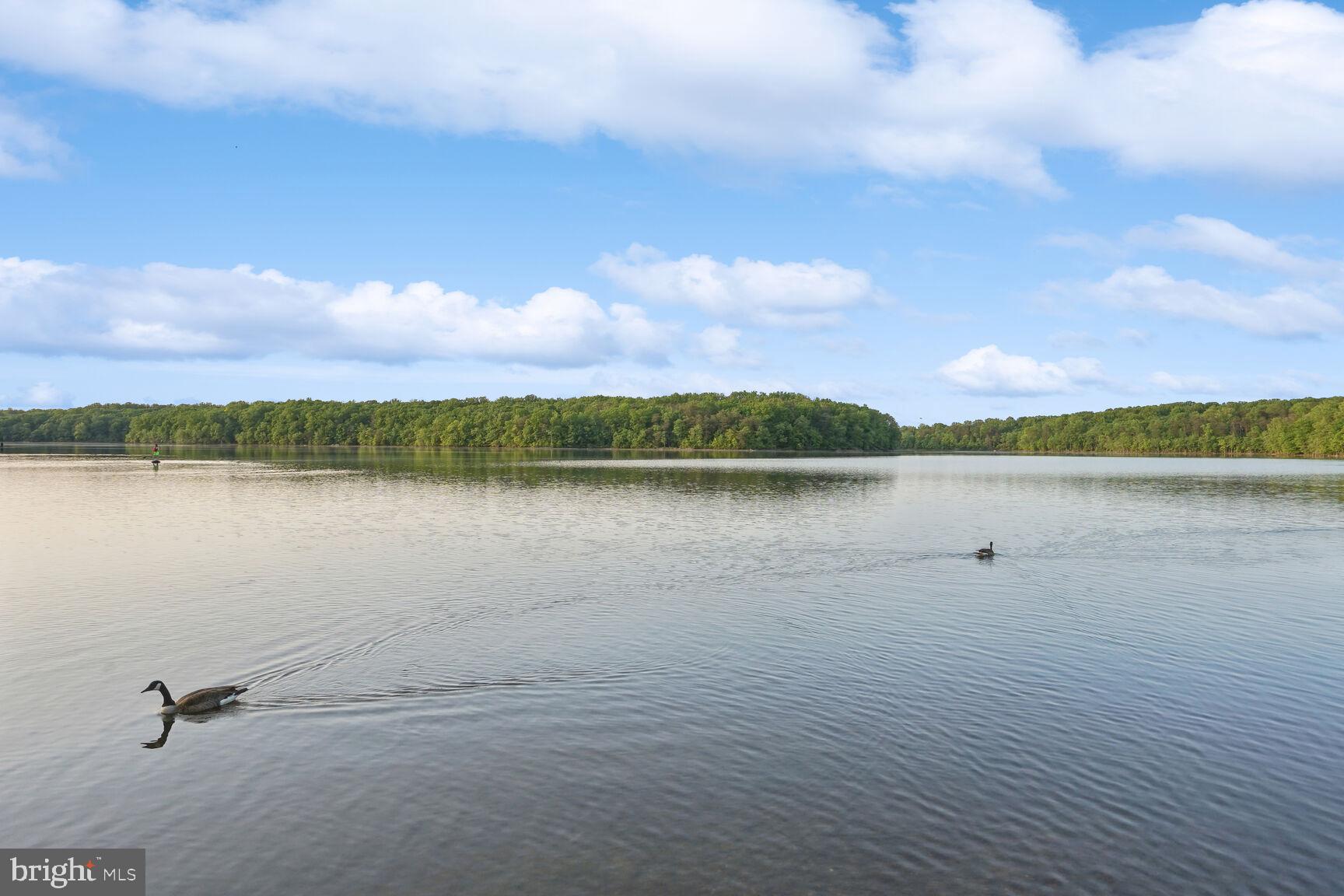 CHAPEL BRIDGE - Residential
