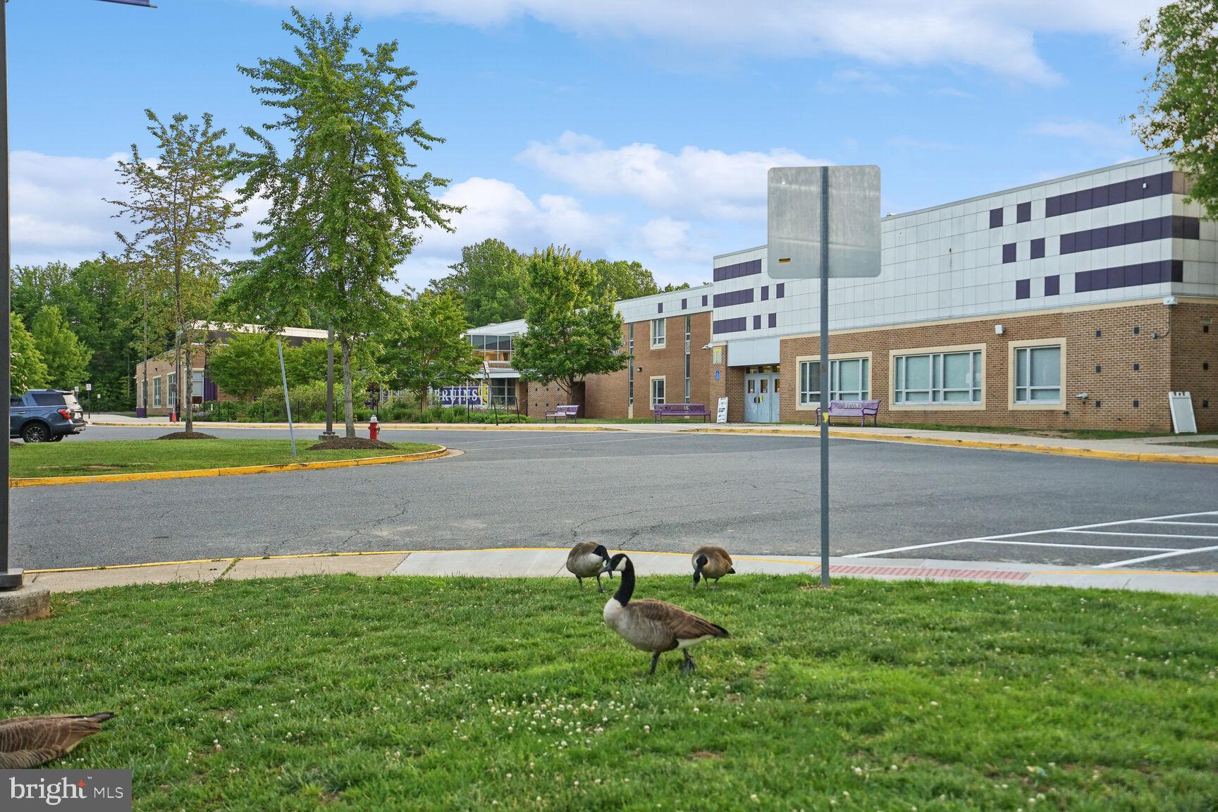 CHAPEL BRIDGE - Residential