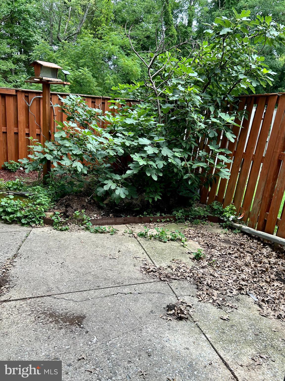 BELAIR TOWN - Residential