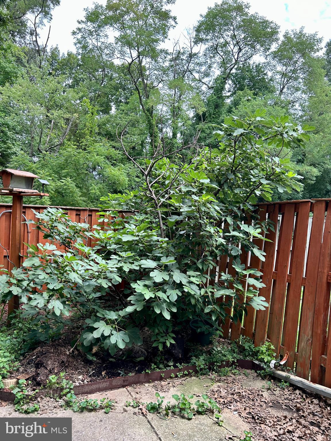 BELAIR TOWN - Residential