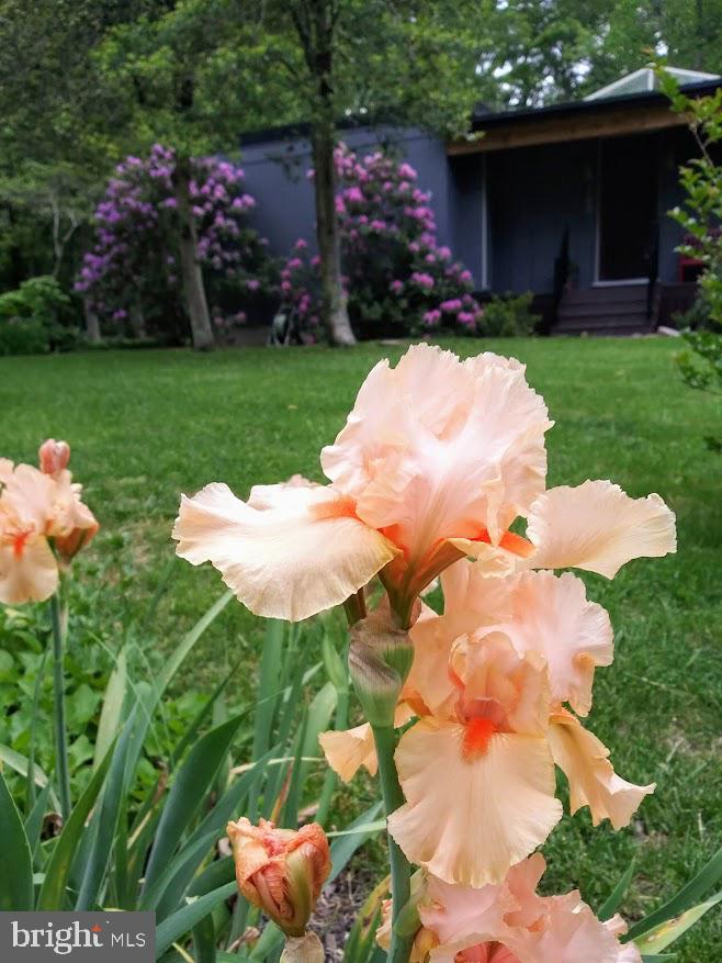 ARGYLE HEIGHTS - Residential