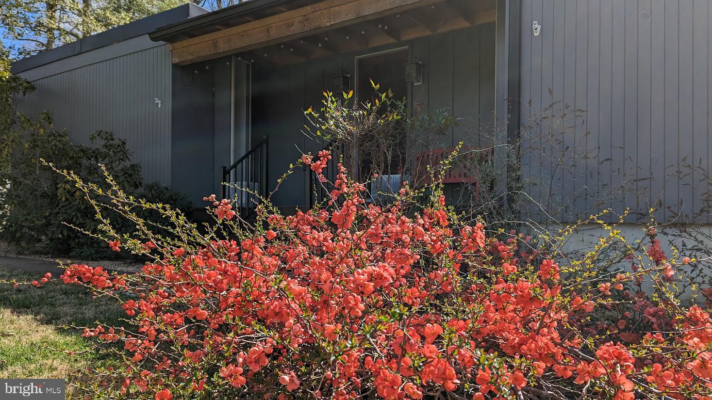 ARGYLE HEIGHTS - Residential