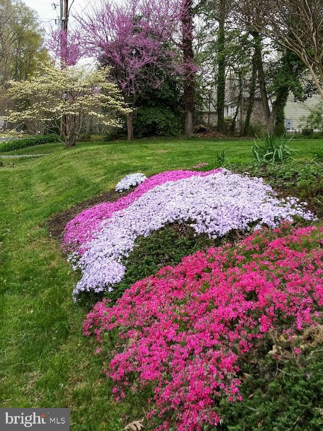 ARGYLE HEIGHTS - Residential