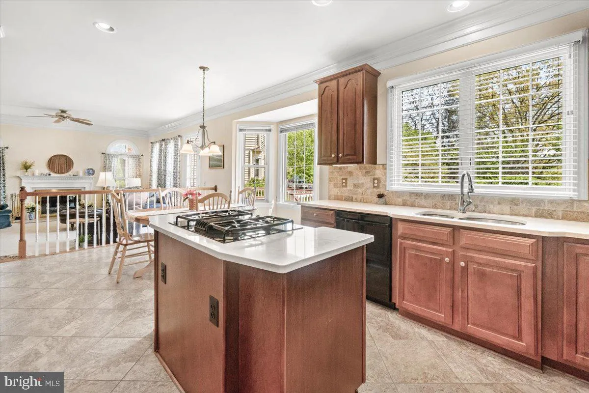 Frederick, Maryland 21701, United States, 4 Bedrooms Bedrooms, ,5 BathroomsBathrooms,Residential,Coming Soon,131093