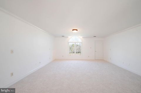 listing image 41