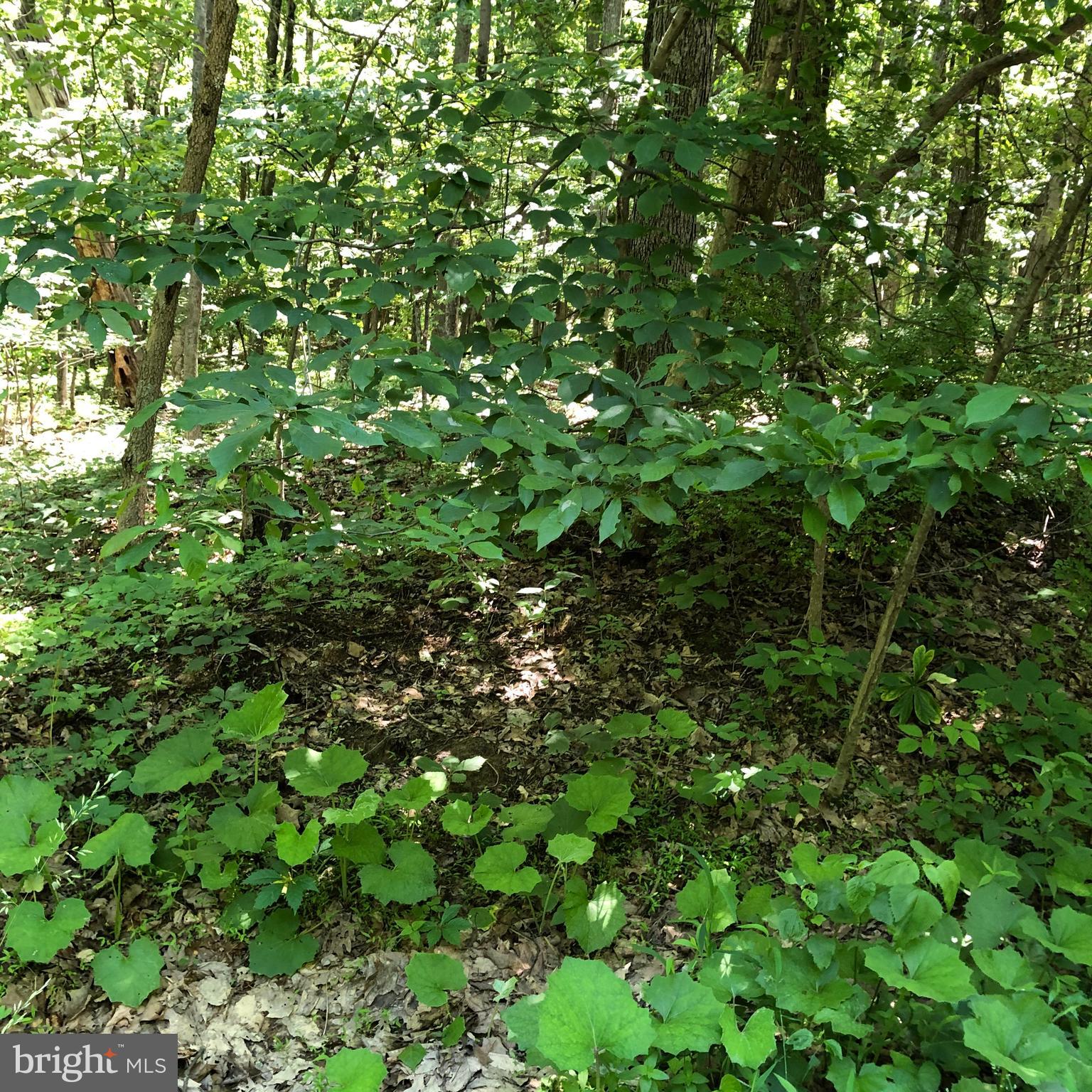 SHORT MOUNTAIN VILLAGE - Land