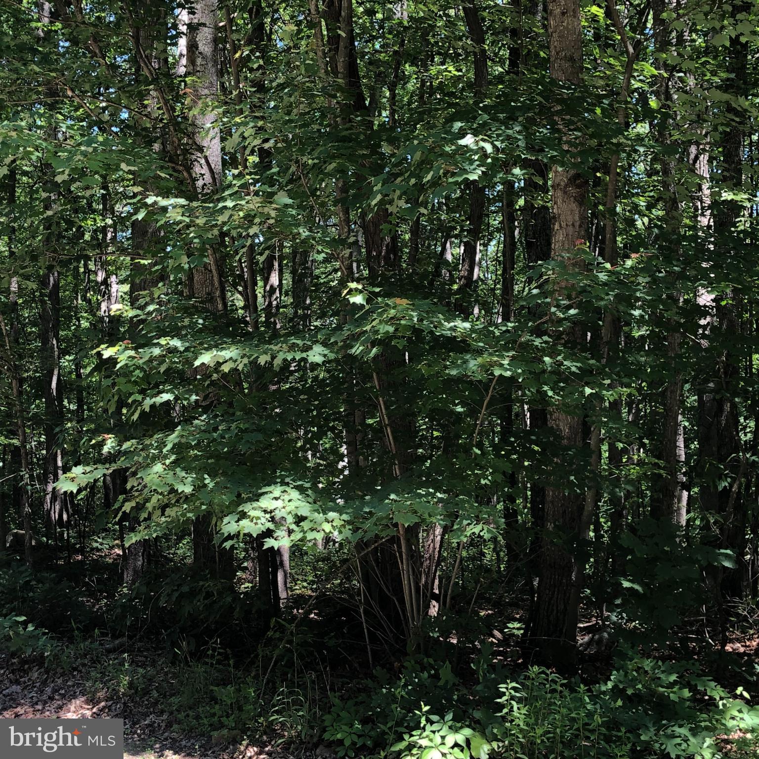 SHORT MOUNTAIN VILLAGE - Land