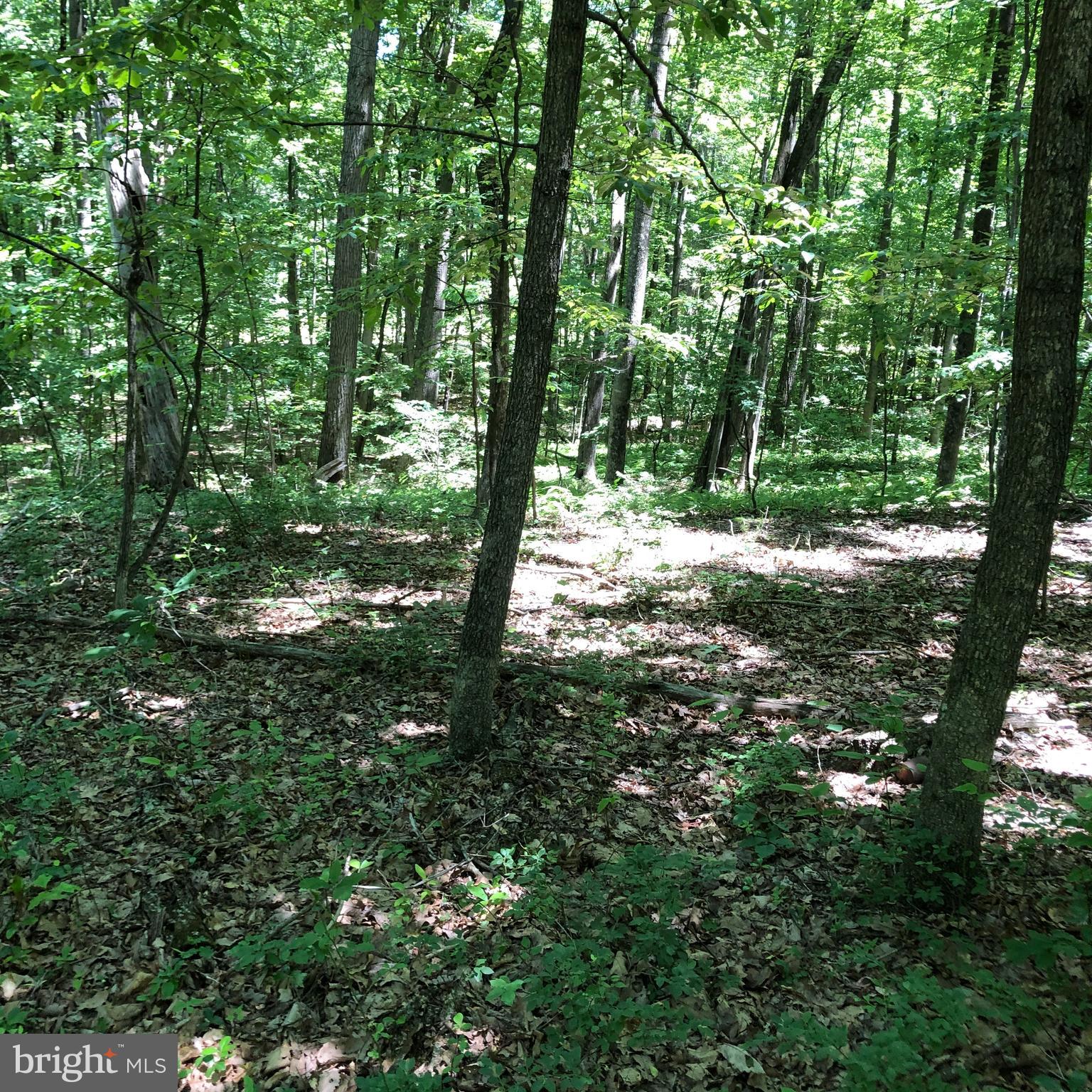 SHORT MOUNTAIN VILLAGE - Land